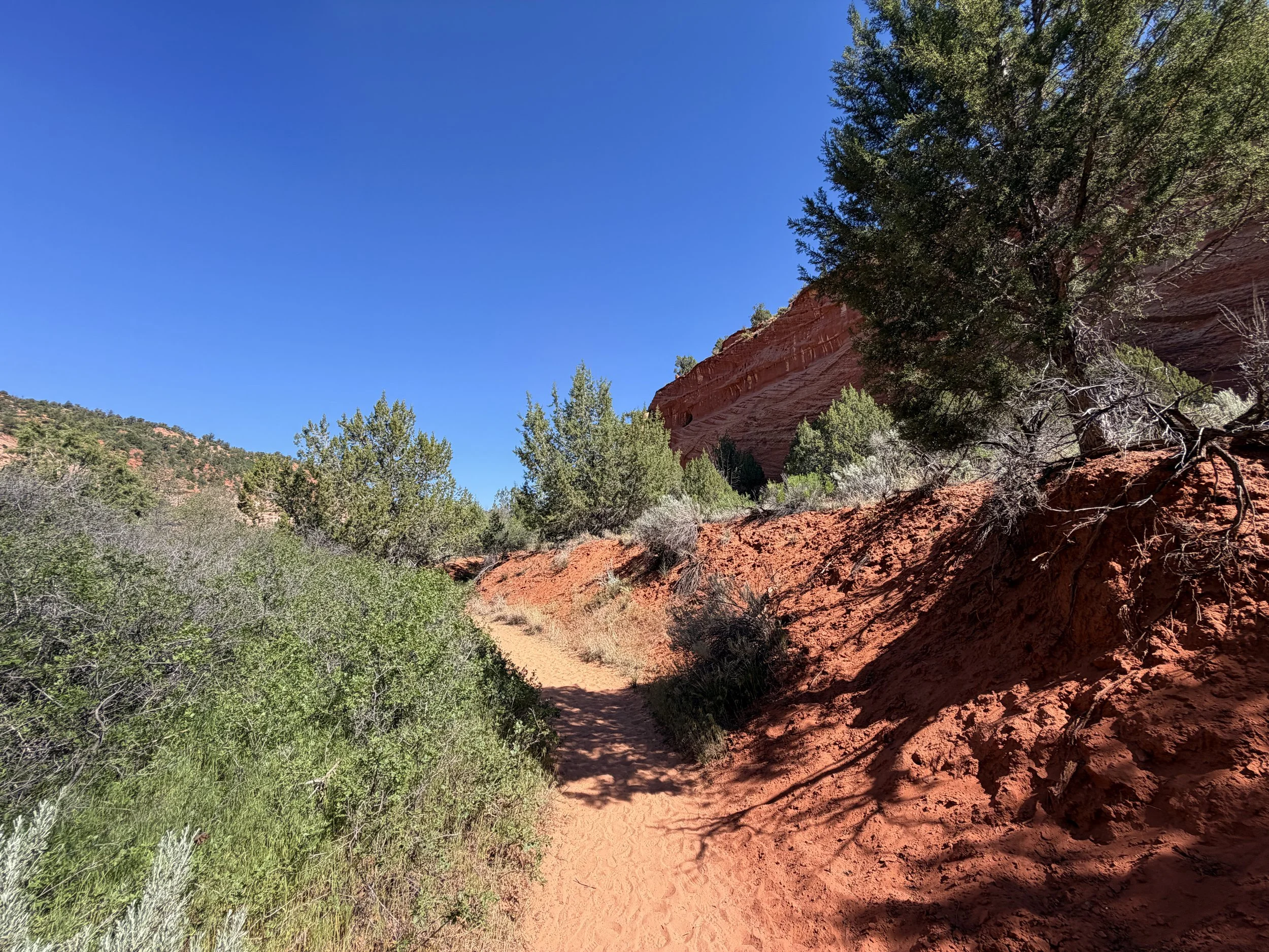Moqui Sand Caves Hike Kanab Utah