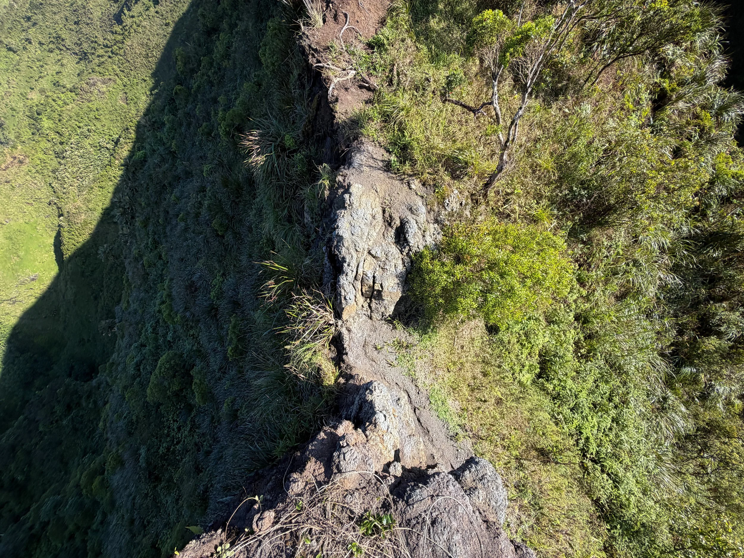 Moanalua Saddle KST Oahu Hawaii
