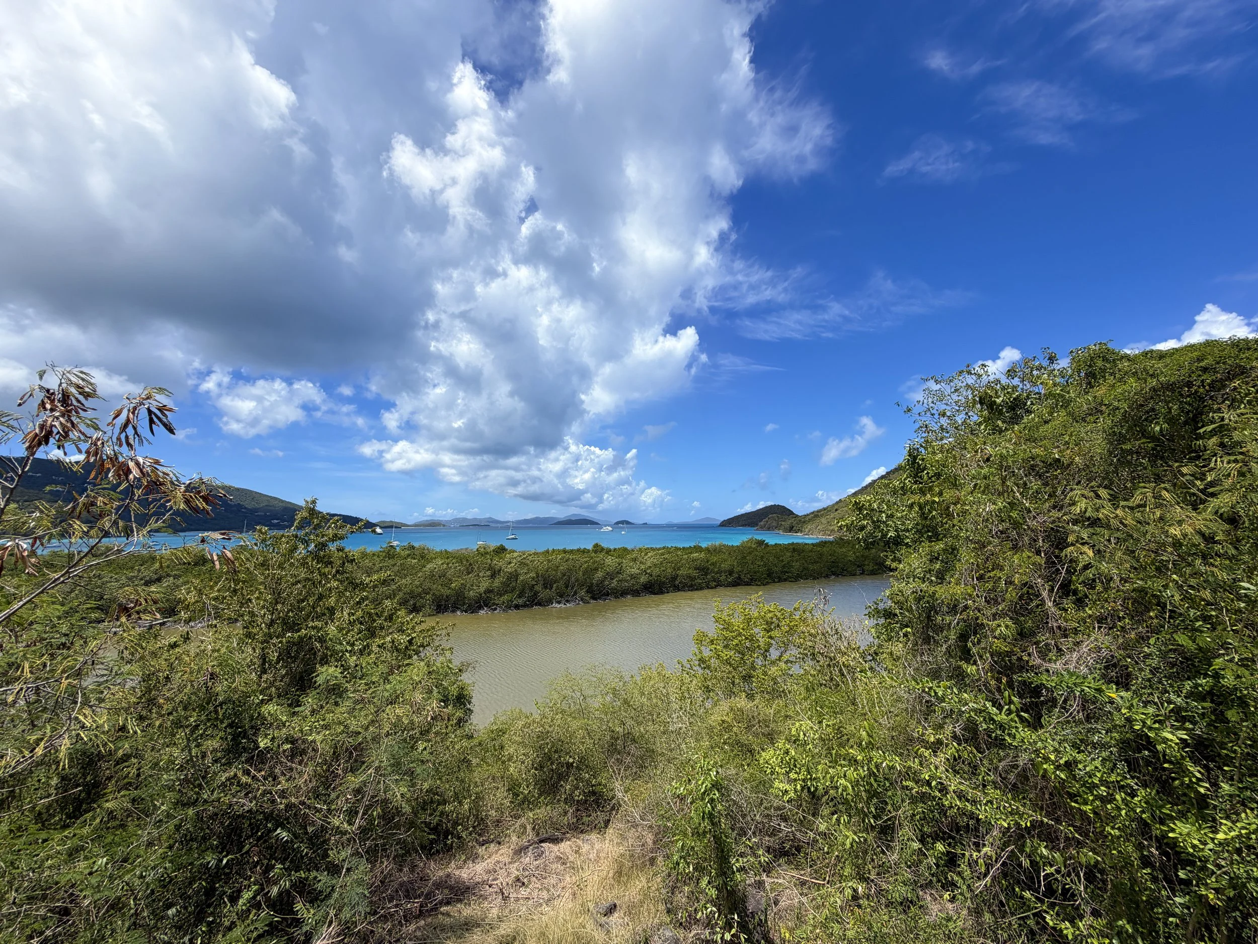 Francis Bay Hike Virgin Islands National Park
