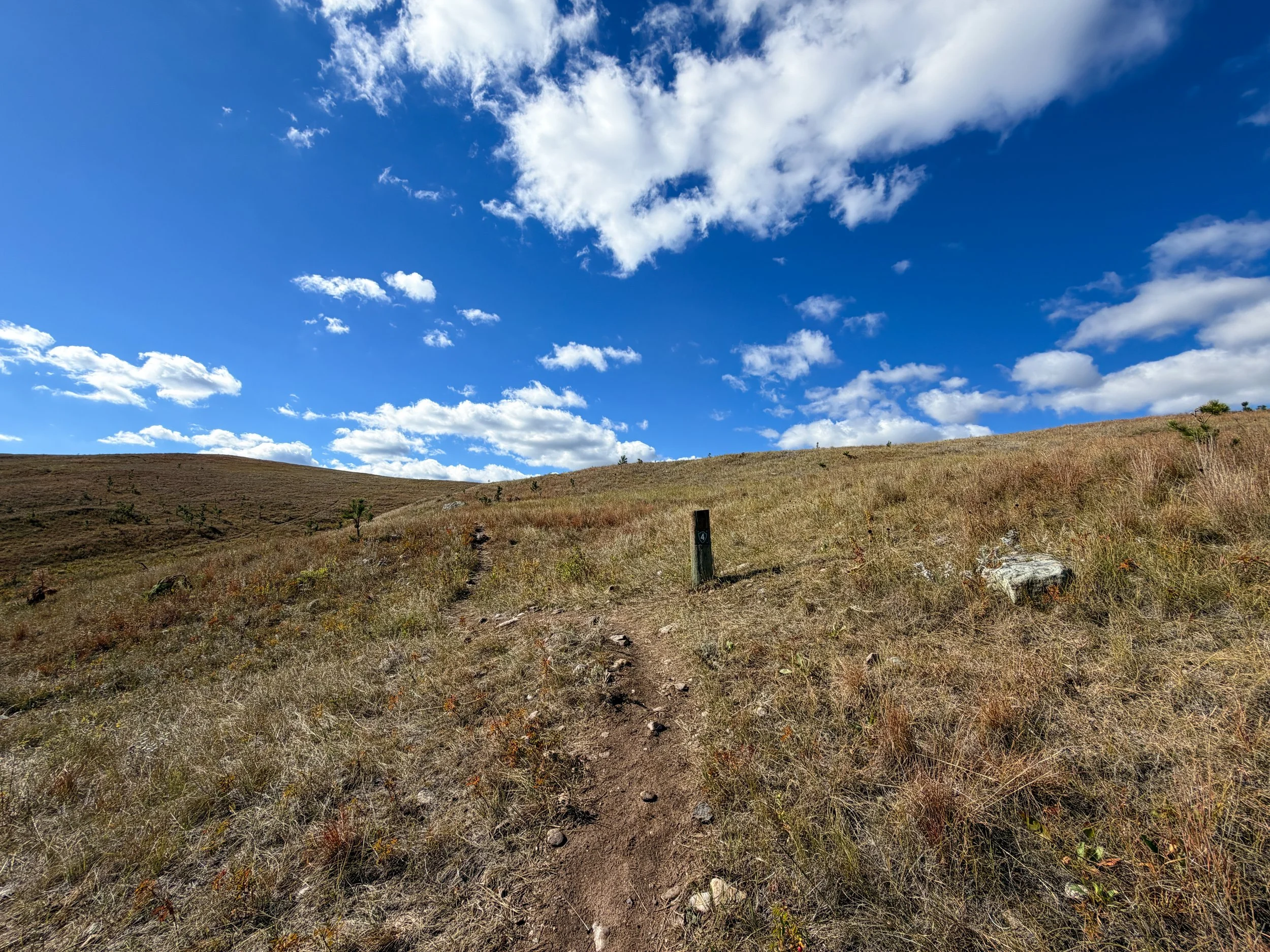 Lookout Point Loop Trail Wind Cave National Park South Dakota