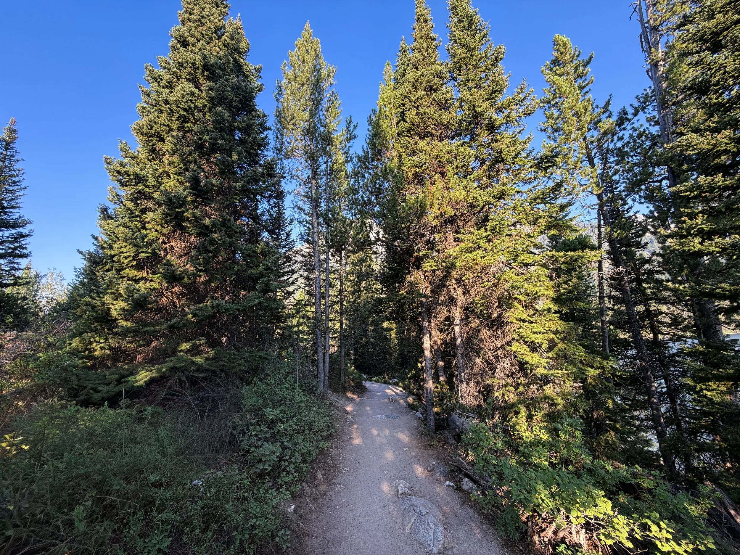 Hidden Falls via Jenny Lake Trail Grand Teton National Park Wyoming