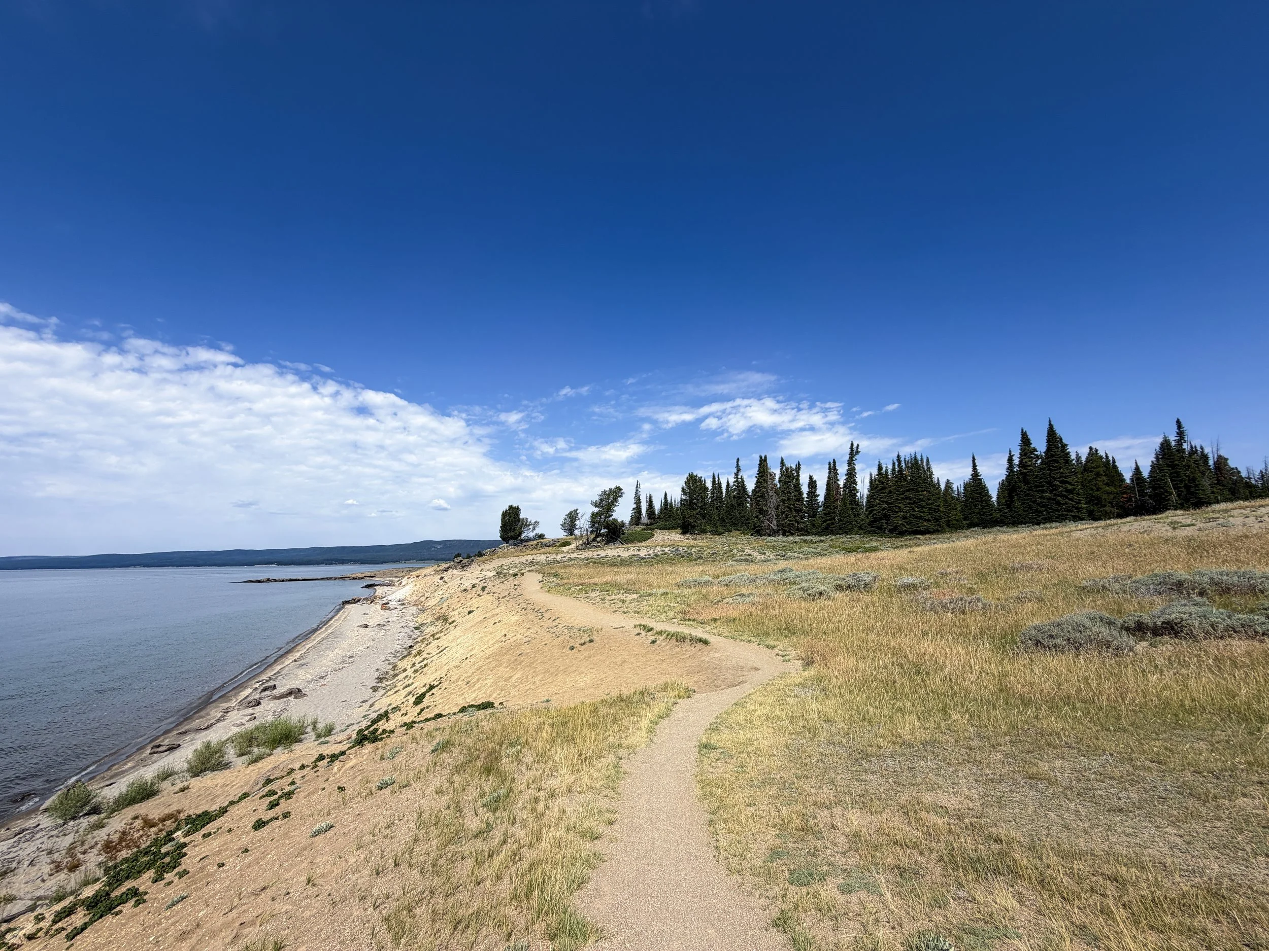 Storm Point Trail Yellowstone National Park Wyoming
