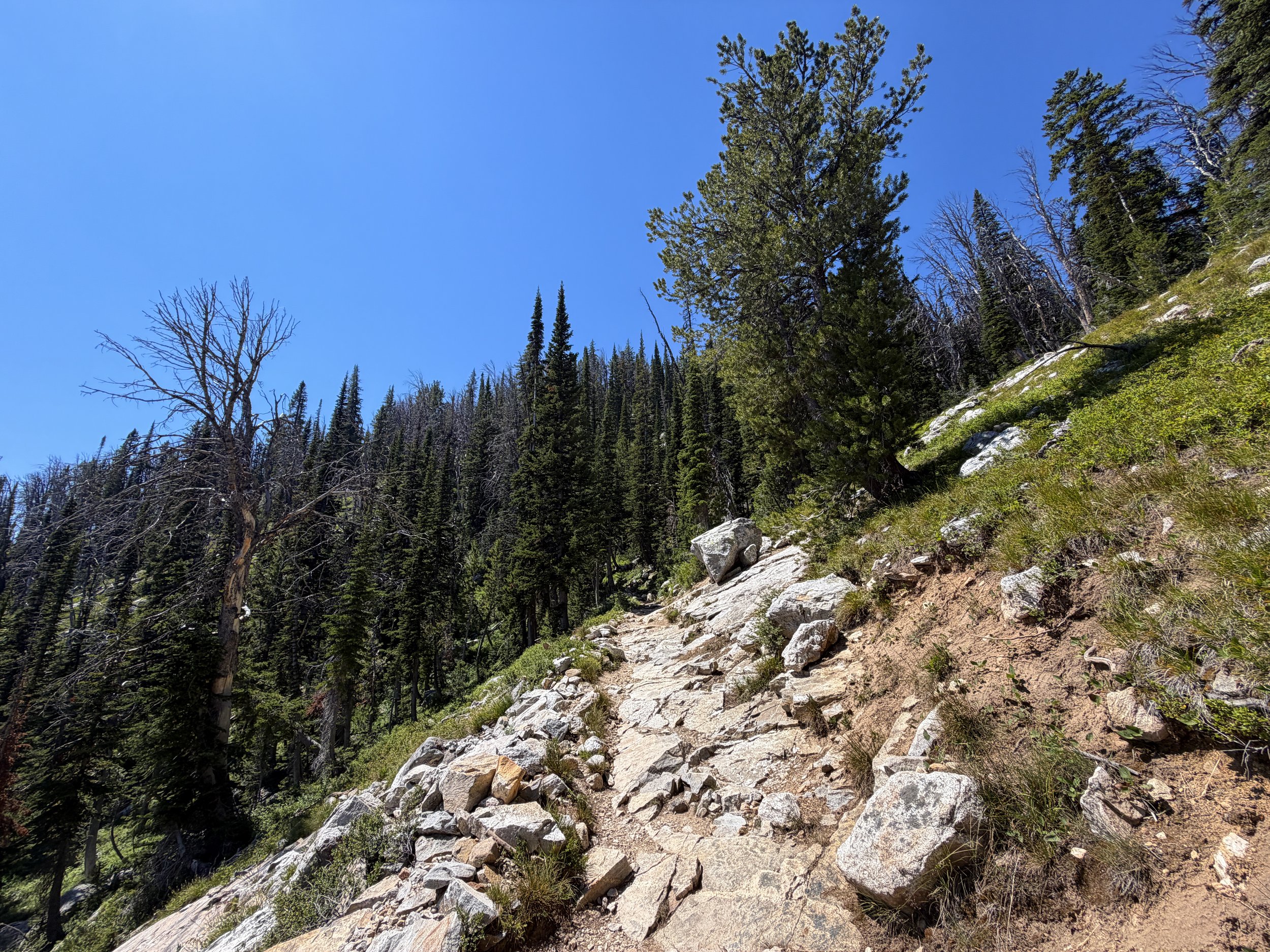 Surprise and Amphitheater Lakes Trail Grand Teton National Park Wyoming