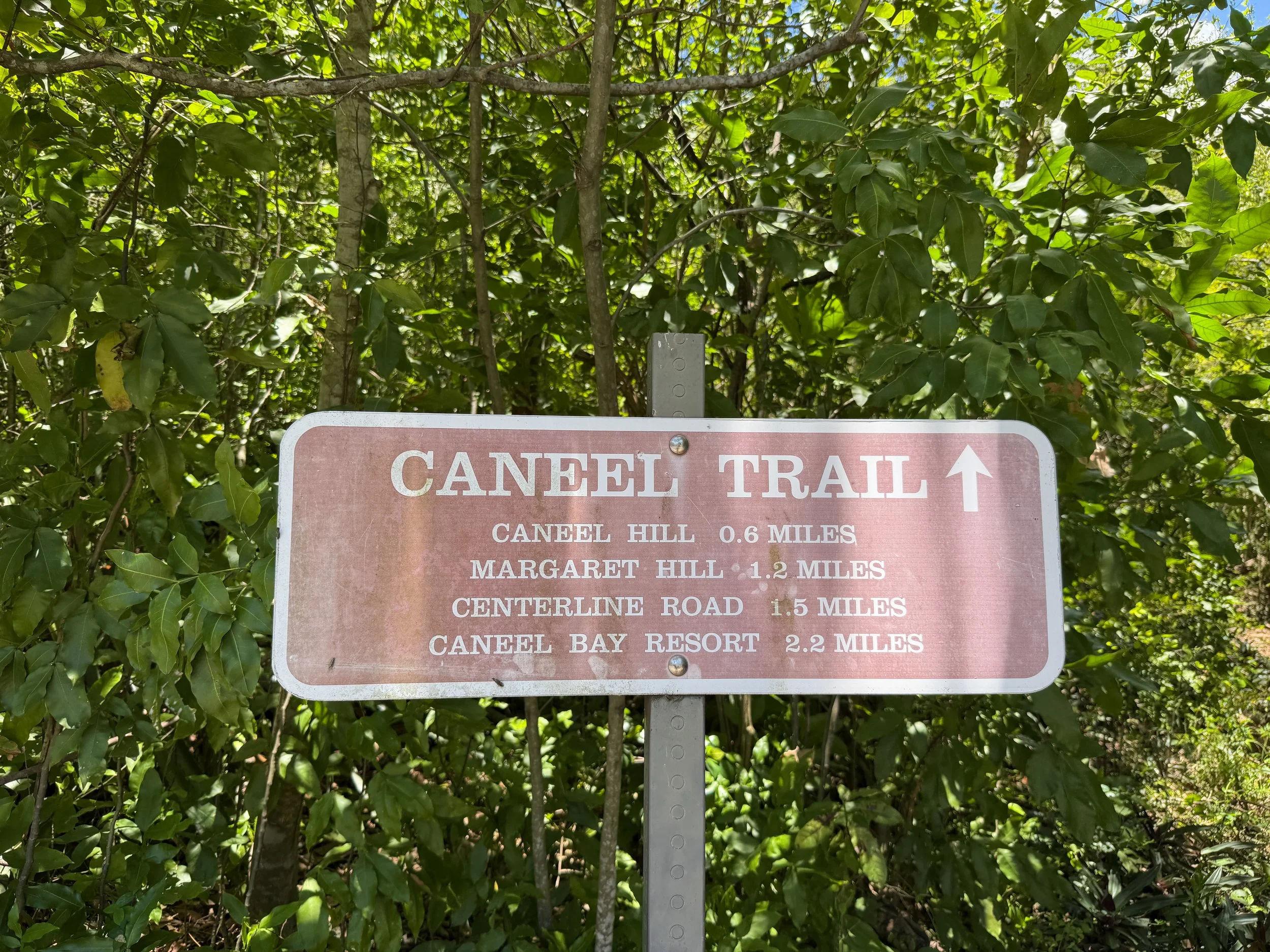 Caneel Hill Trailhead Virgin Islands National Park