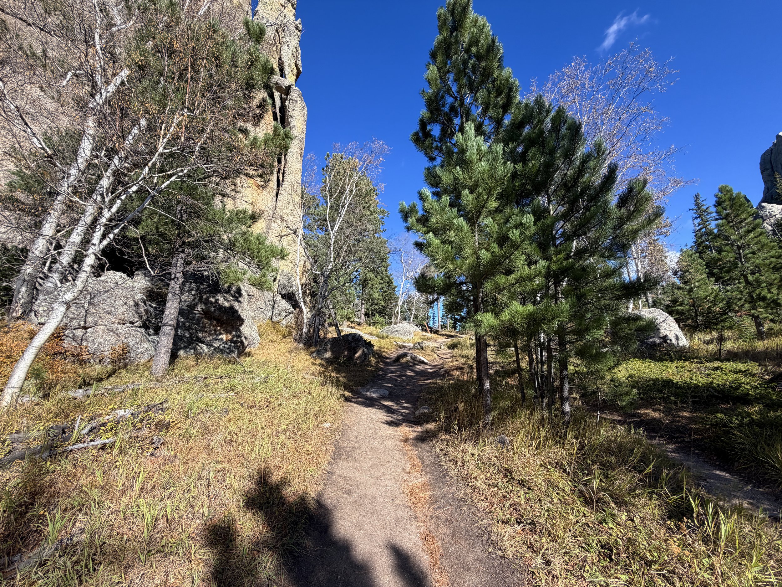 Cathedral Spires Trail Custer State Park Black Hills South Dakota