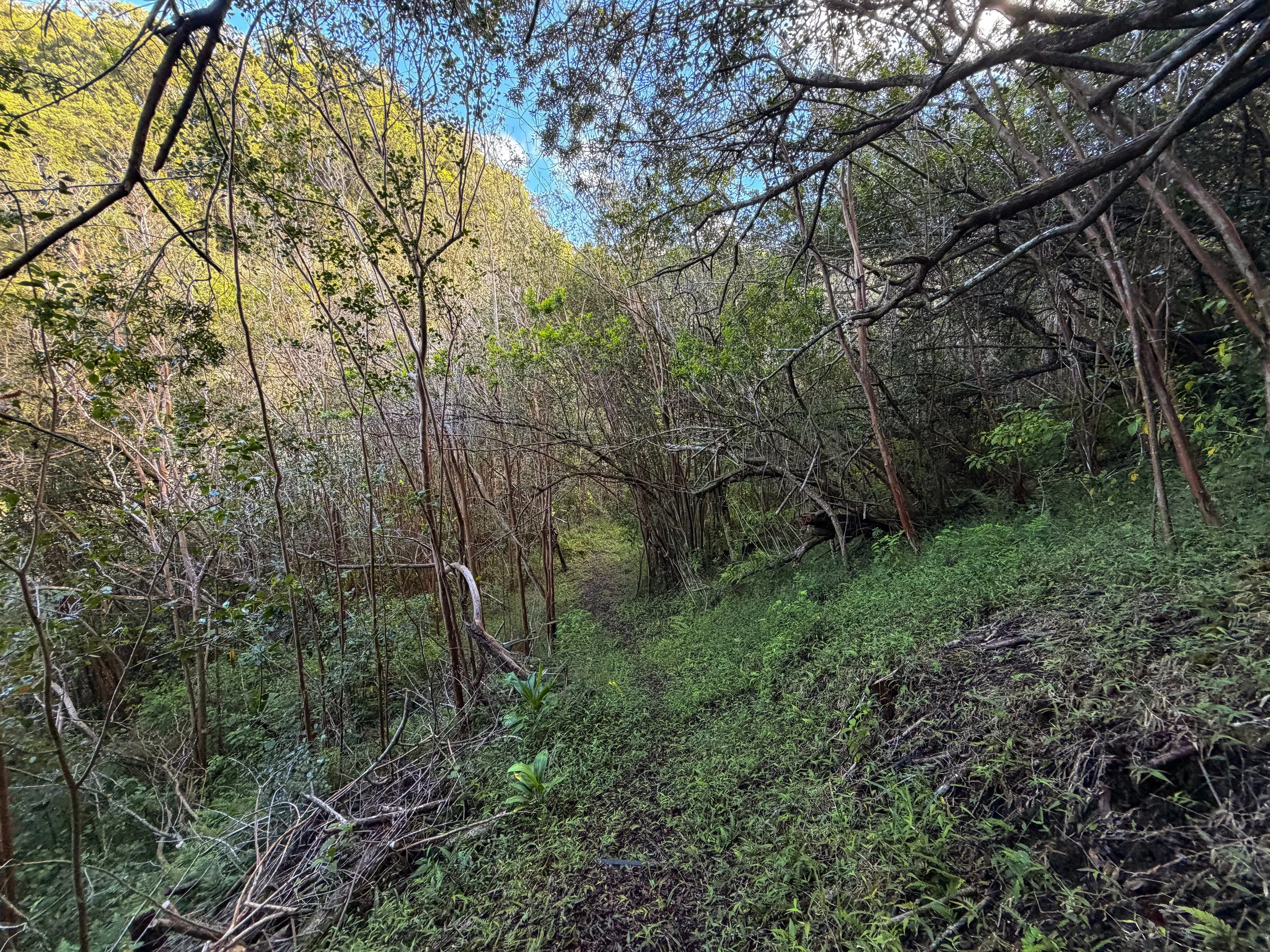 Mokuleia Hike Oahu Hawaii