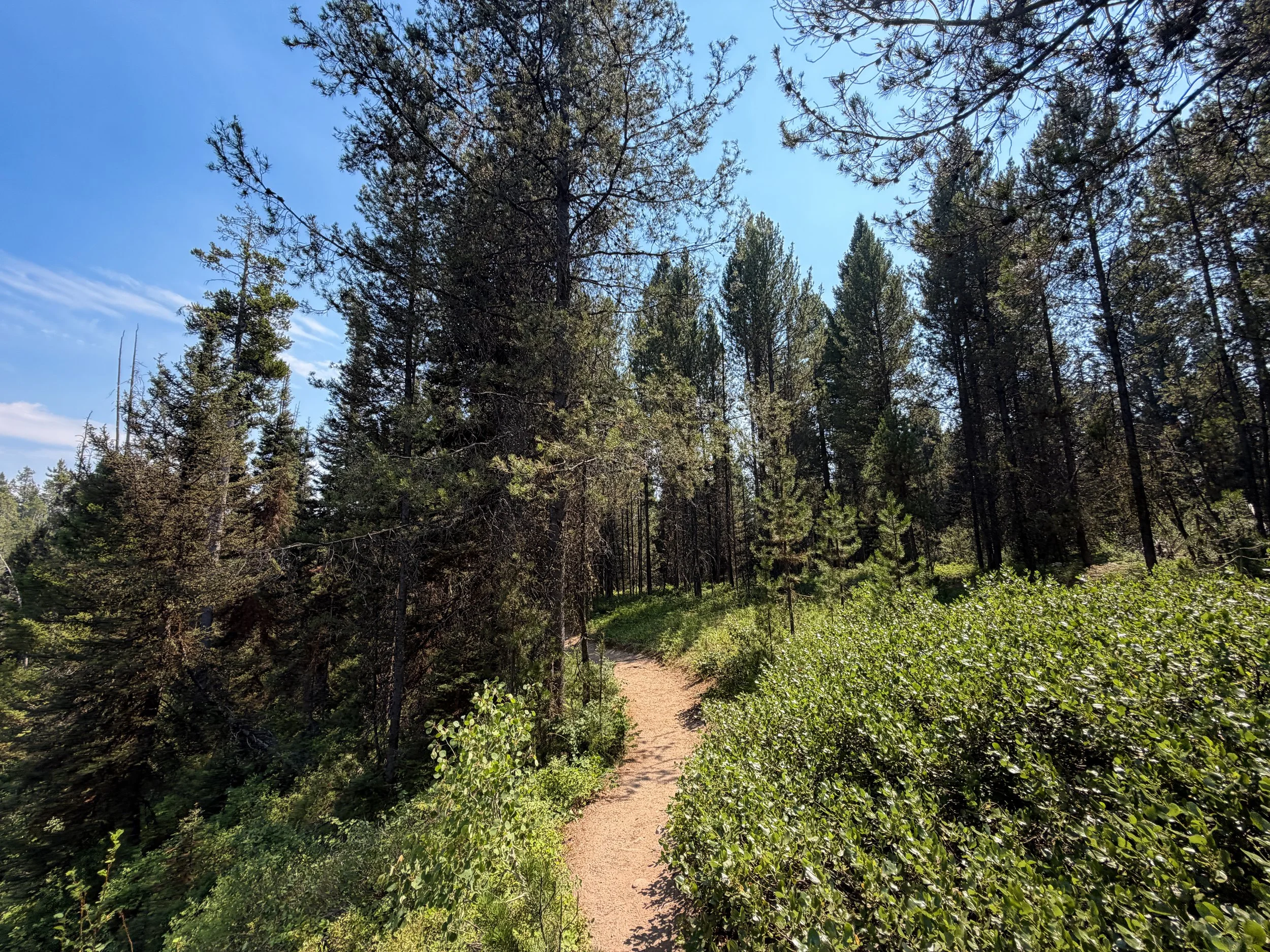 Phelps Lake Loop Trail Grand Teton National Park Wyoming