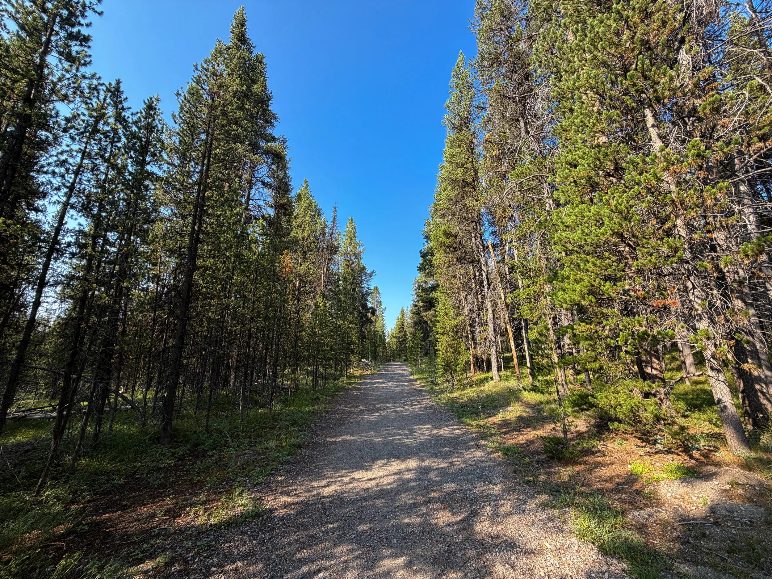 Natural Bridge Trail Yellowstone National Park Wyoming