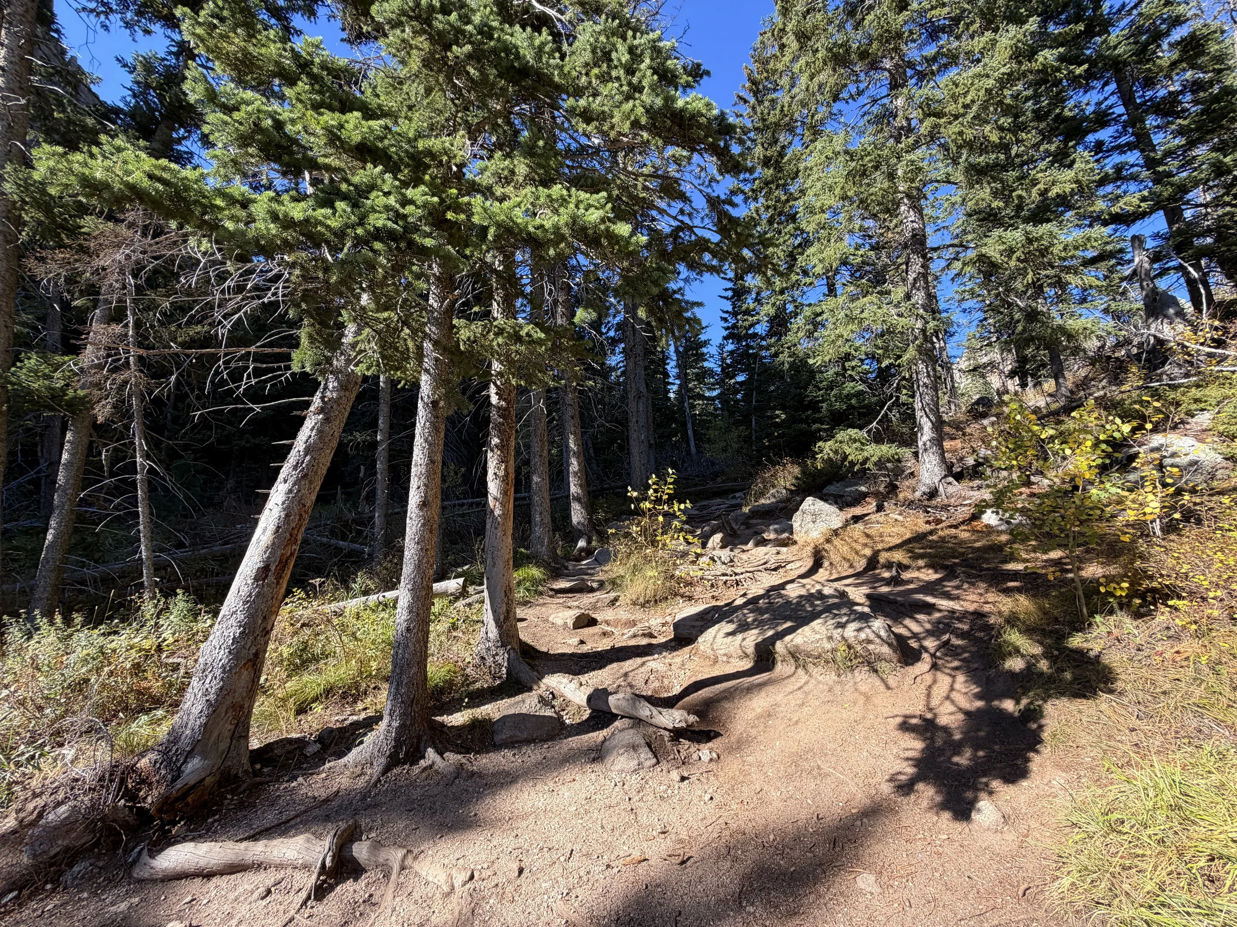 Cathedral Spires Trail Custer State Park Black Hills South Dakota