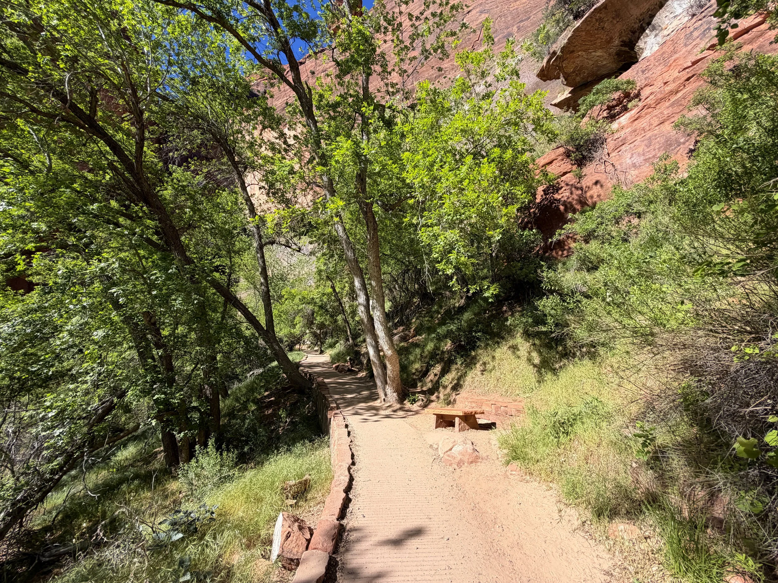 Weeping Rock Trail Zion National Park Utah