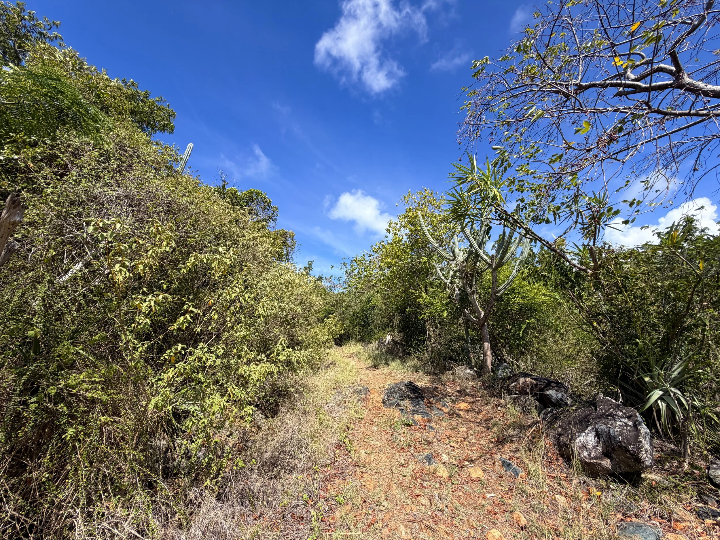 Lameshur Bay Trail Virgin Islands National Park
