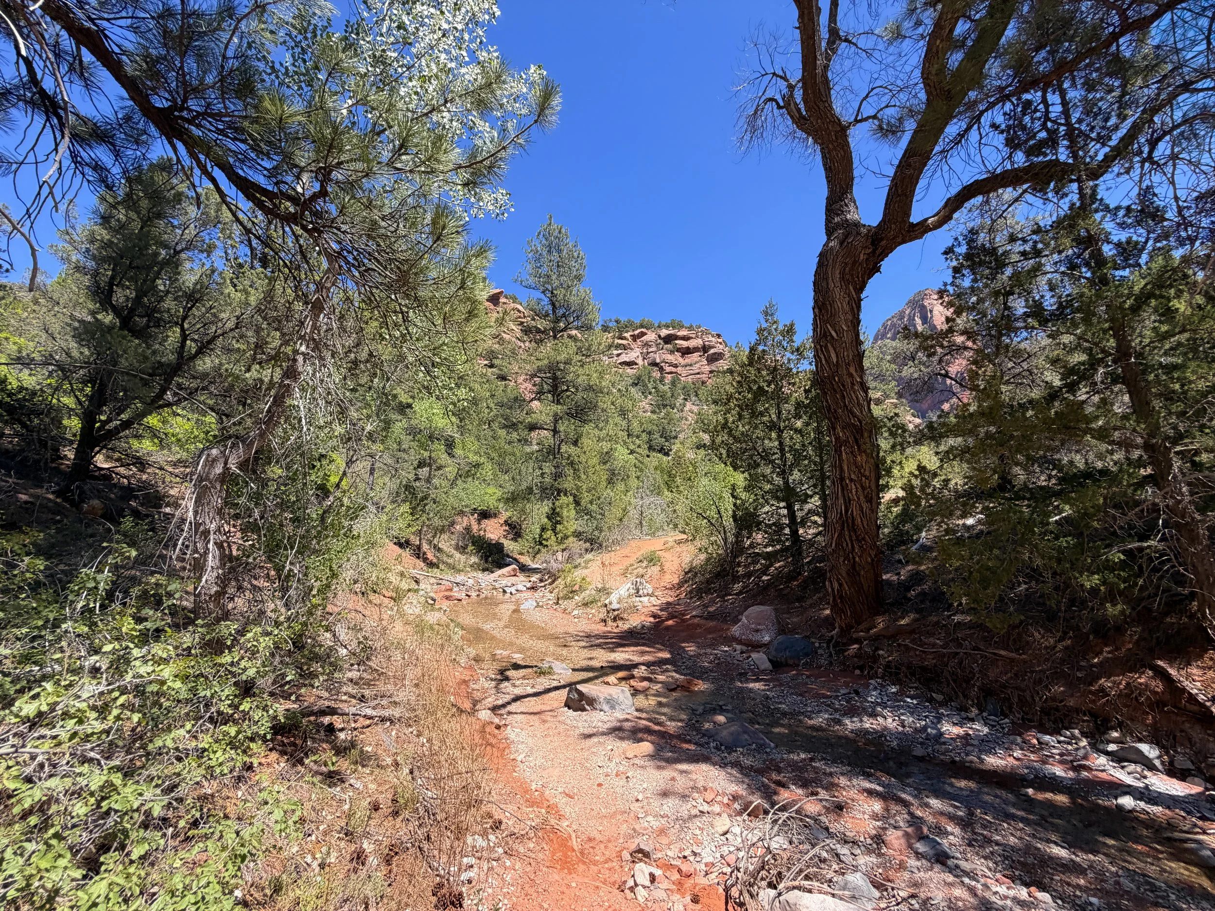 Middle Taylor Creek Trail Zion National Park Utah