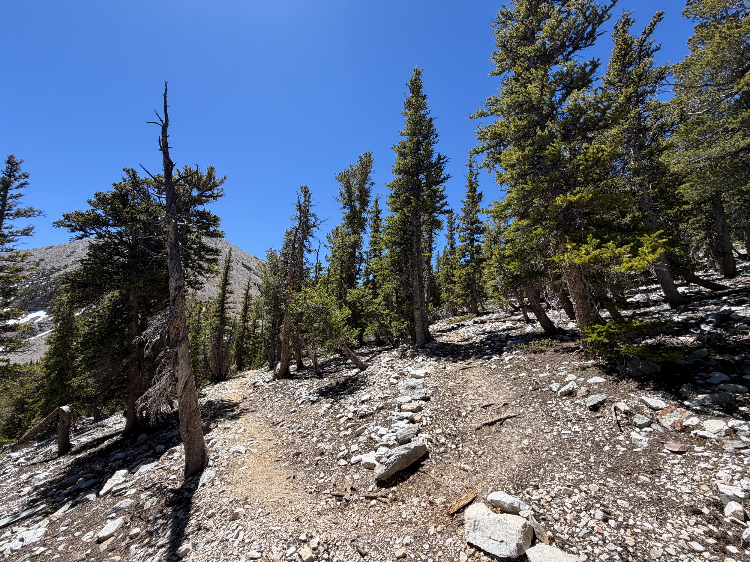 Baker Lake Trail Great Basin National Park Nevada
