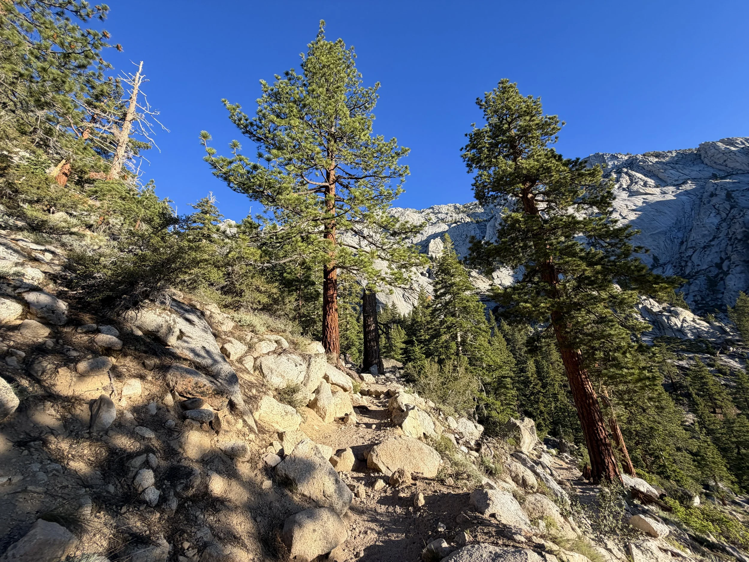 Mount Whitney Hike Lone Pine California