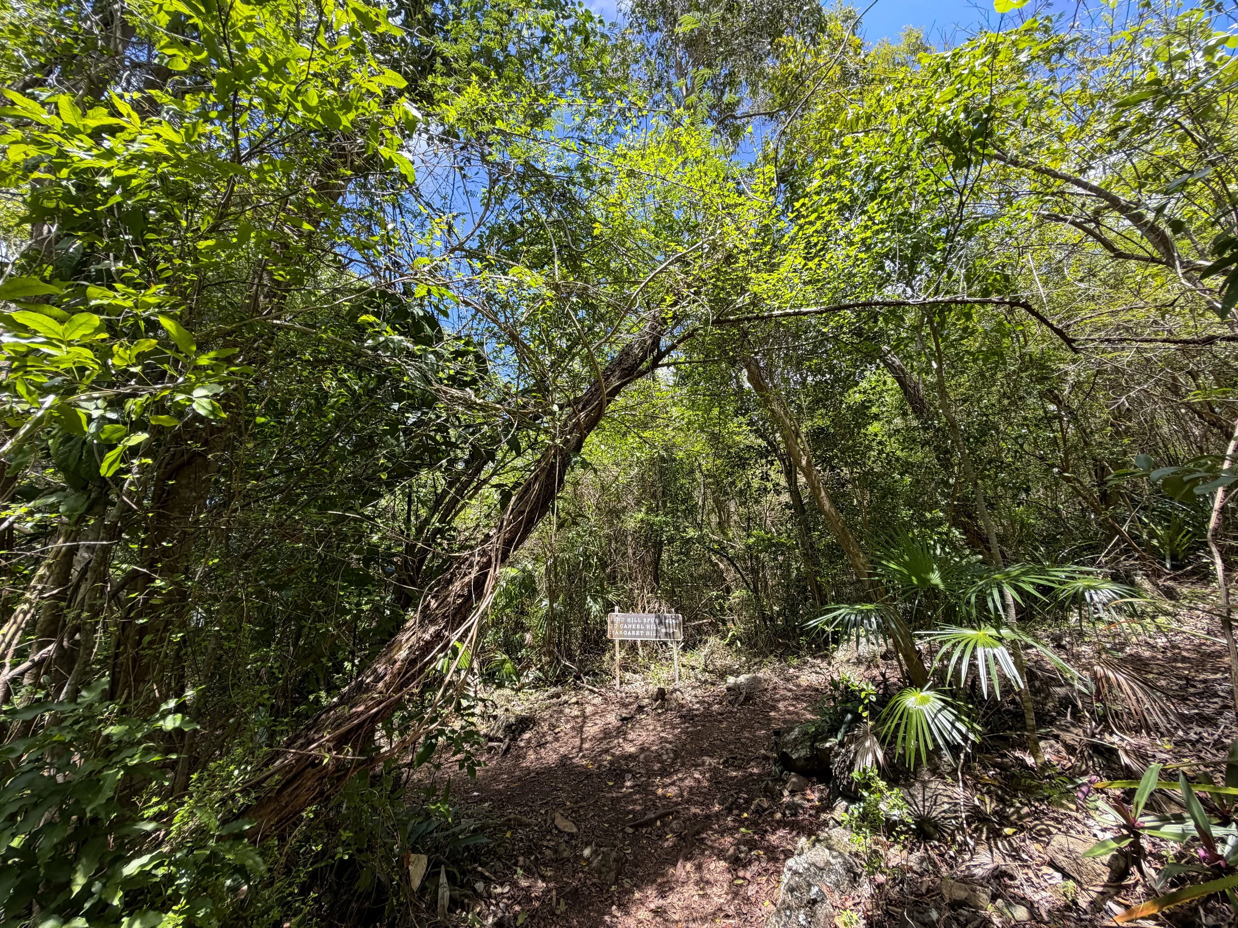 Caneel Hill Trail Virgin Islands National Park