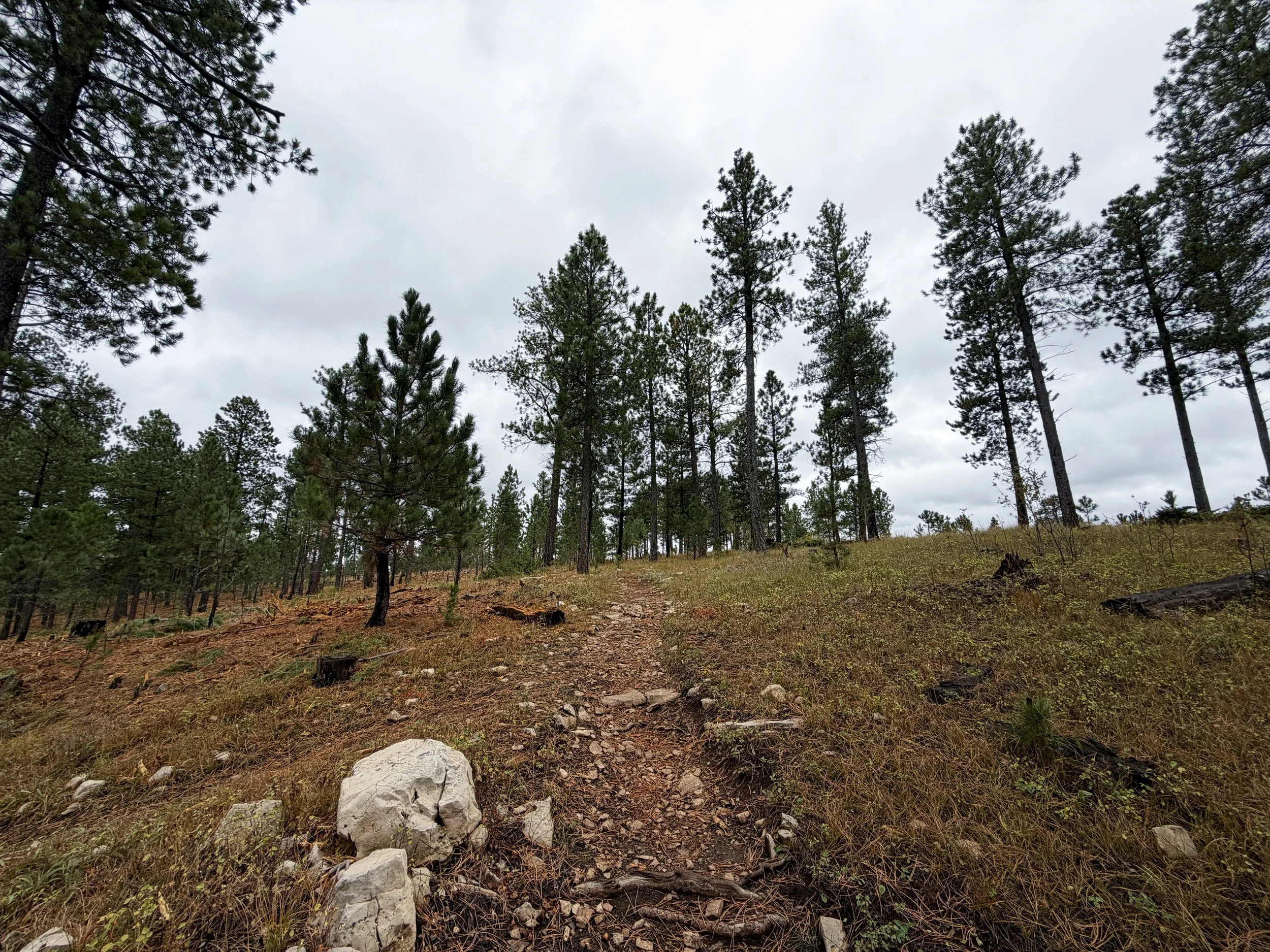 Buzzards Roost Hike Black Hills Rapid City South Dakota