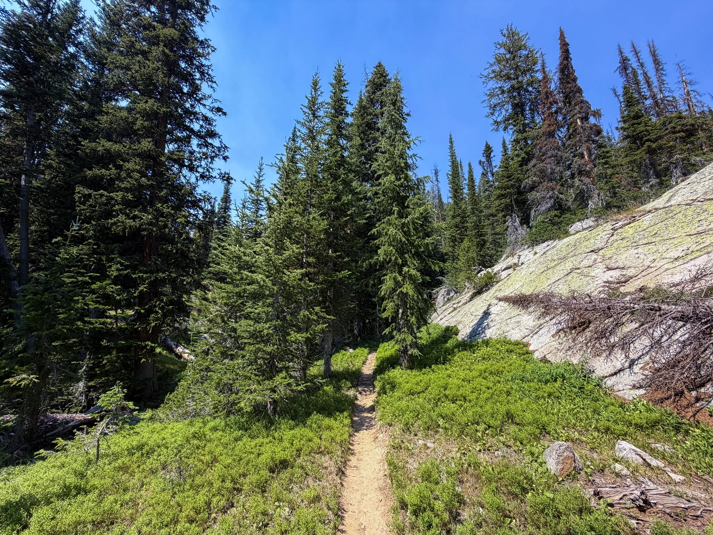 The Beaten Path Trail Beartooth Mountains Montana