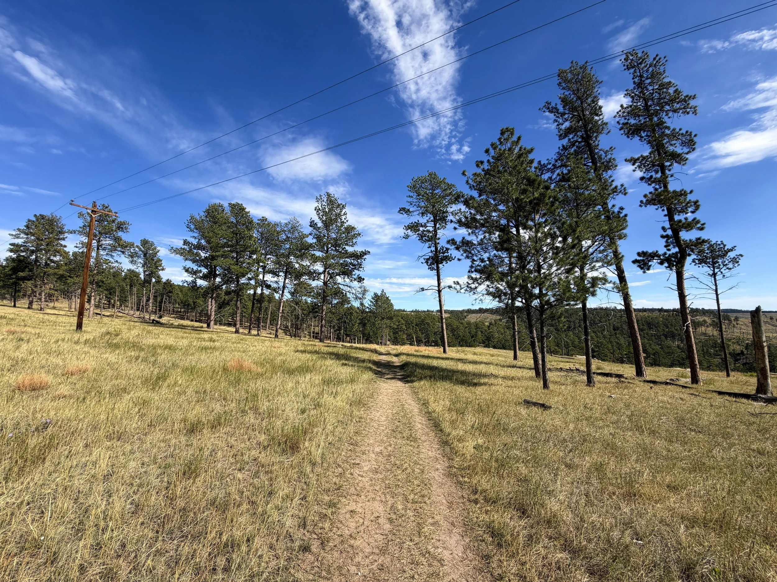 Canyons Trail Jewel Cave National Monument Black Hills South Dakota
