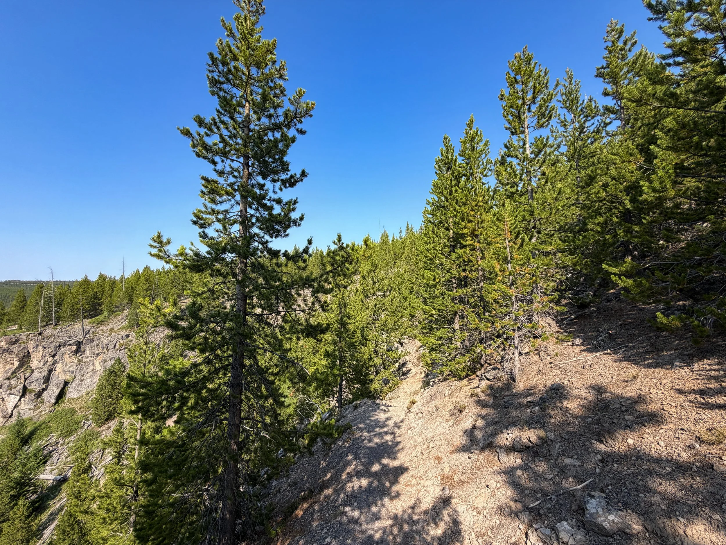 Mystic Falls Loop Trail Yellowstone National Park Wyoming