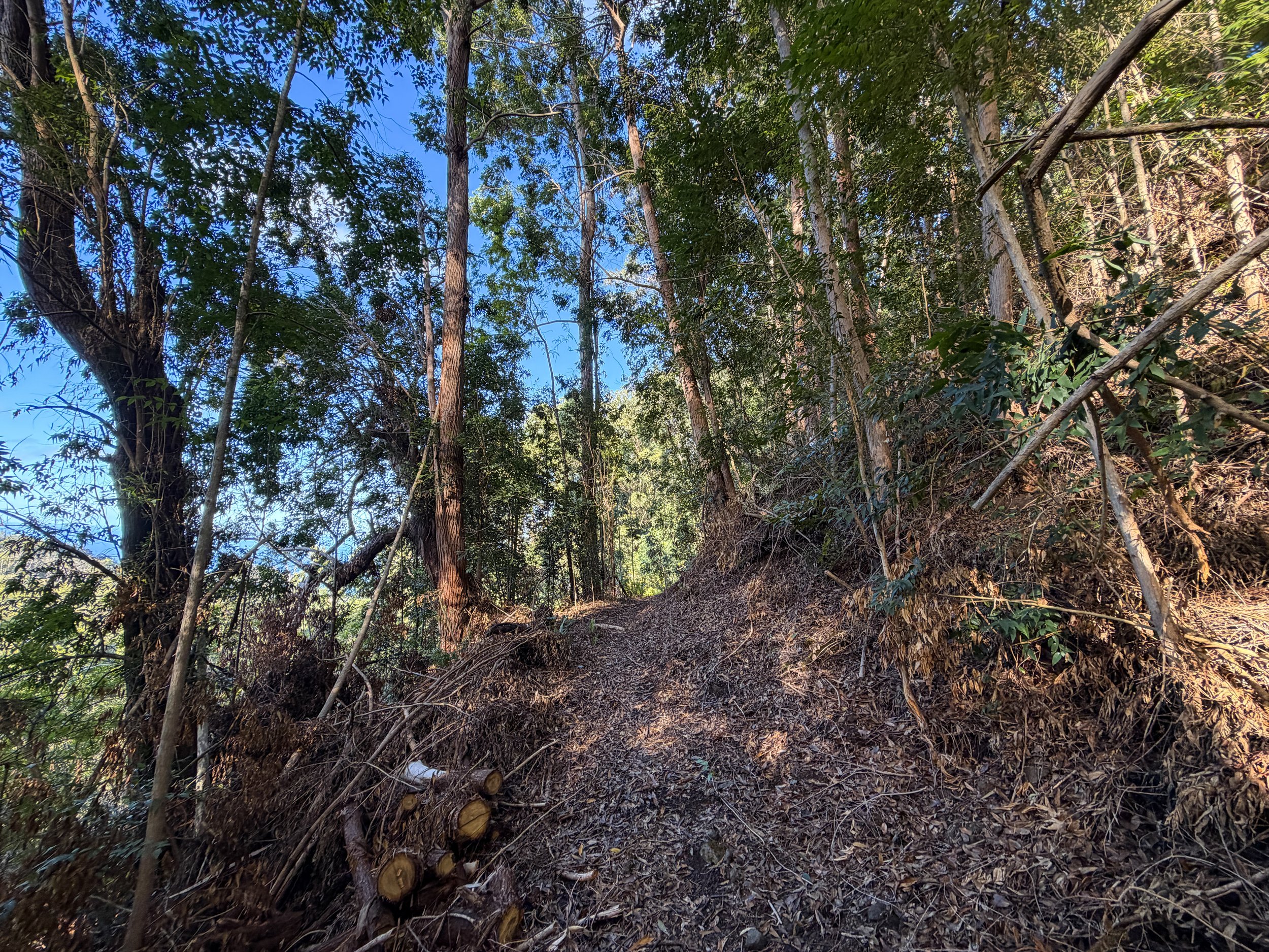 Mokuleia Trail Peacock Flats Oahu Hawaii