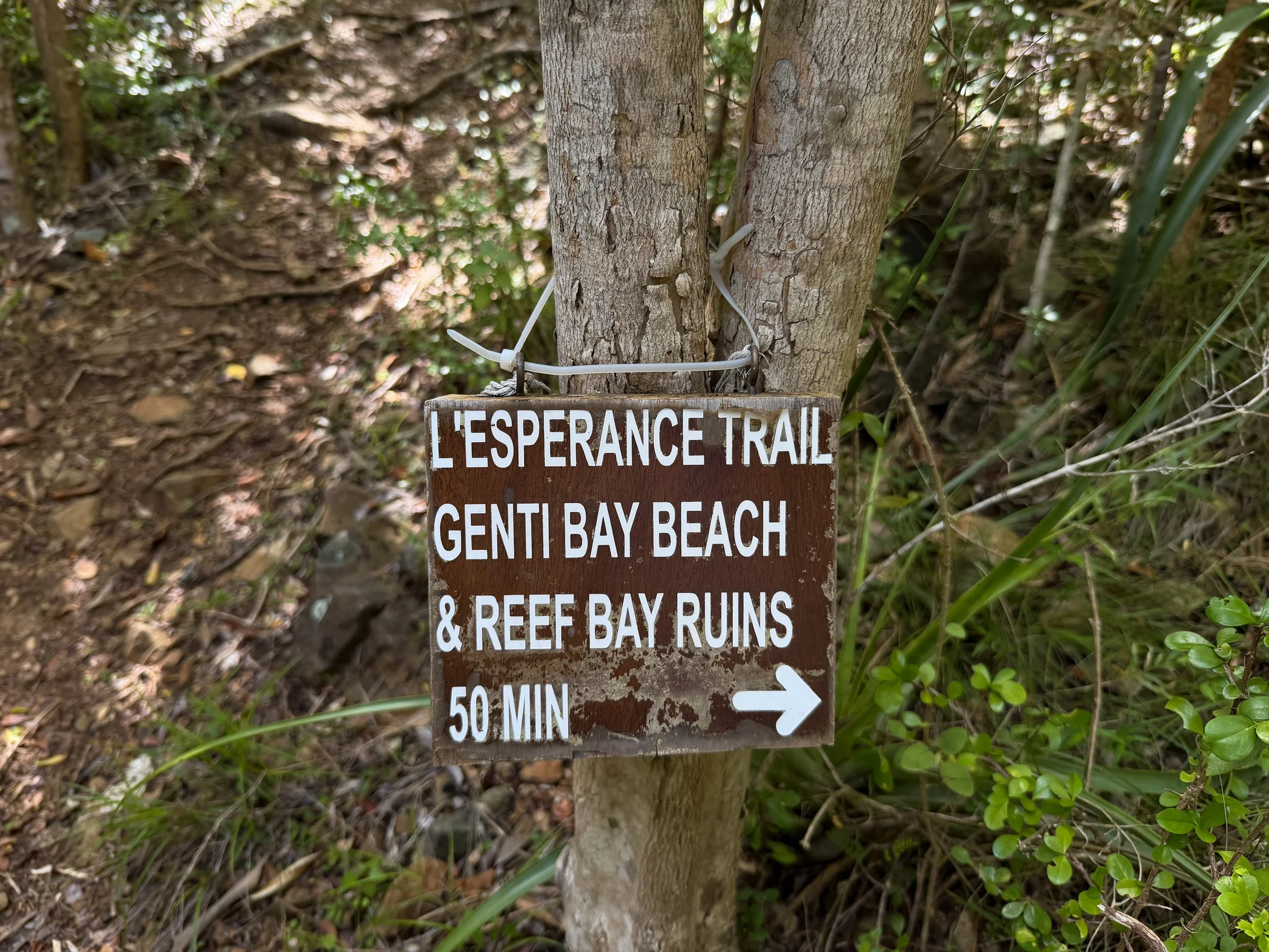 Great Sieben Hike Virgin Islands National Park