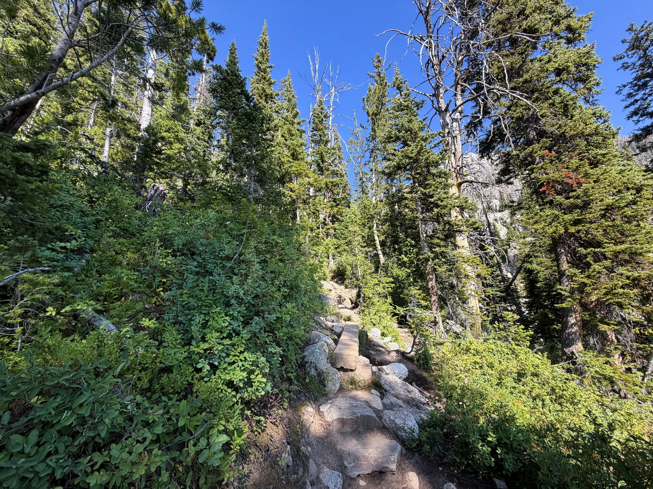 Delta Lake Trail Grand Teton National Park Wyoming