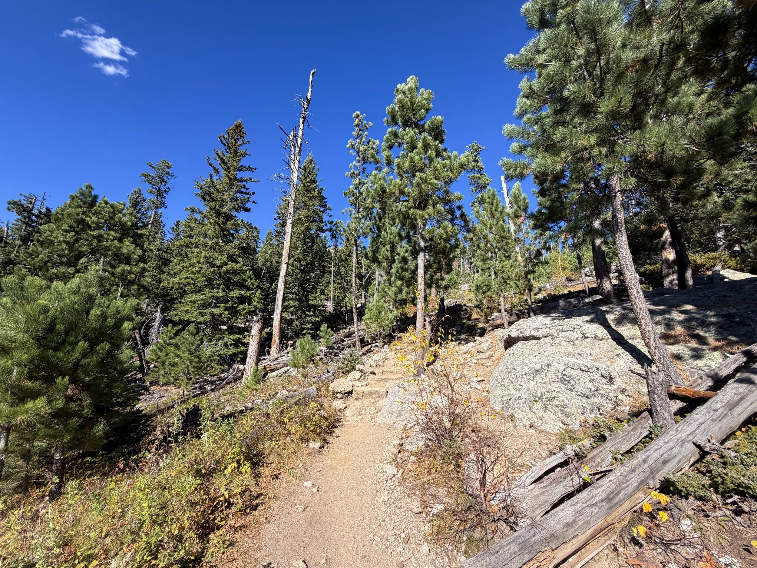 Black Elk Peak Hike via Custer State Park Black Hills South Dakota