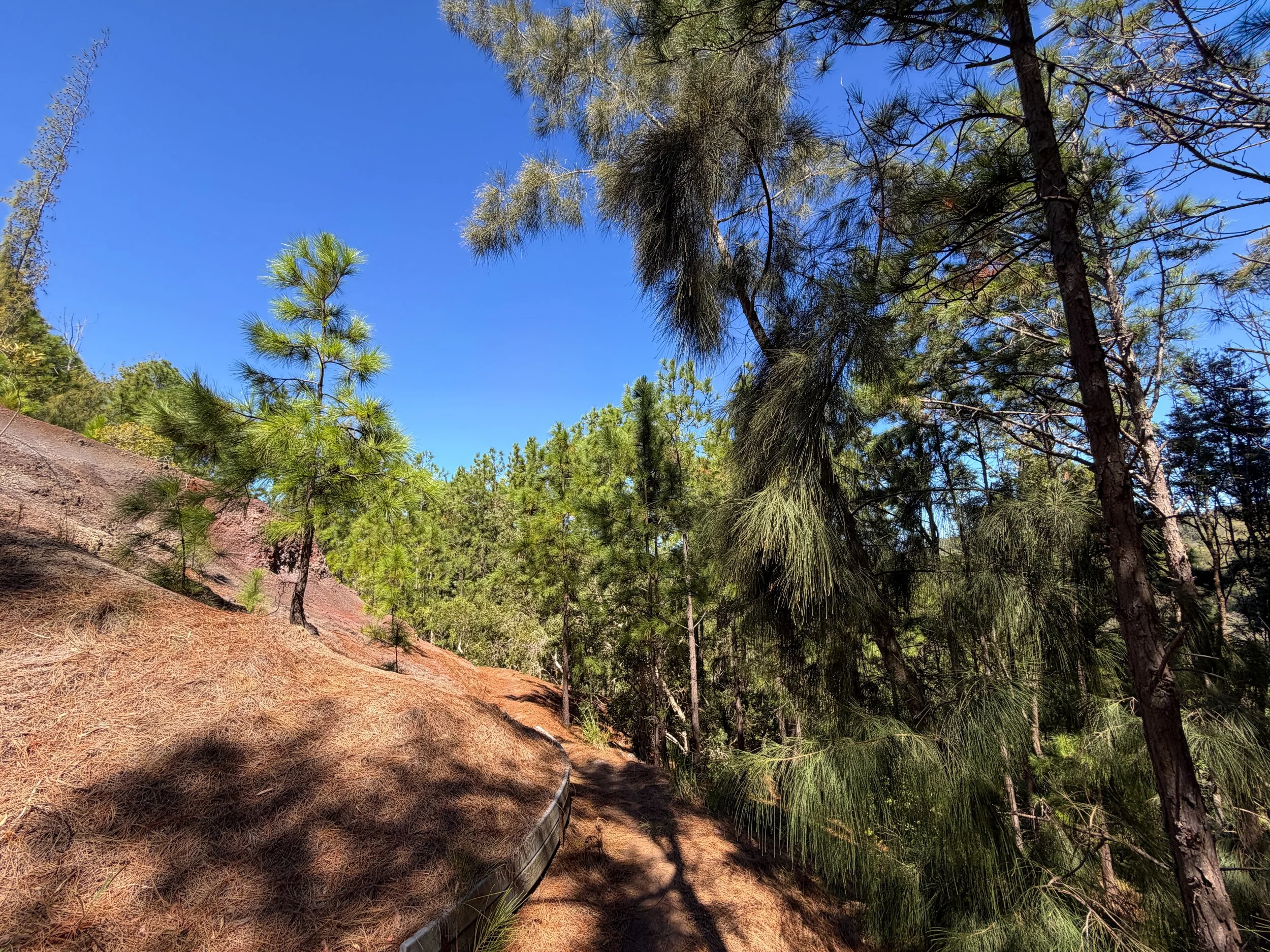 Kuaokala Trail Oahu Hawaii