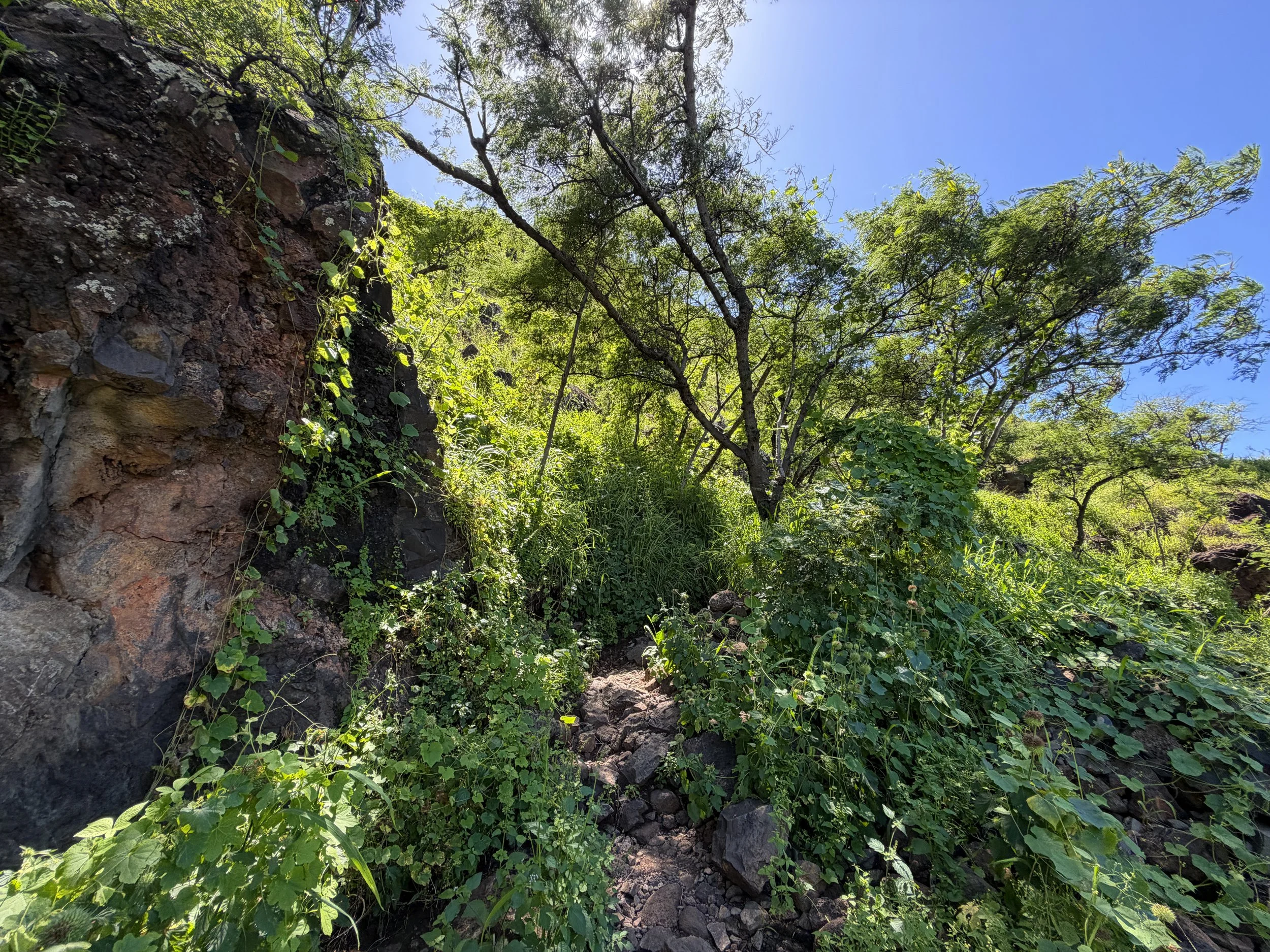 Pink Pillbox Hike Oahu Hawaii