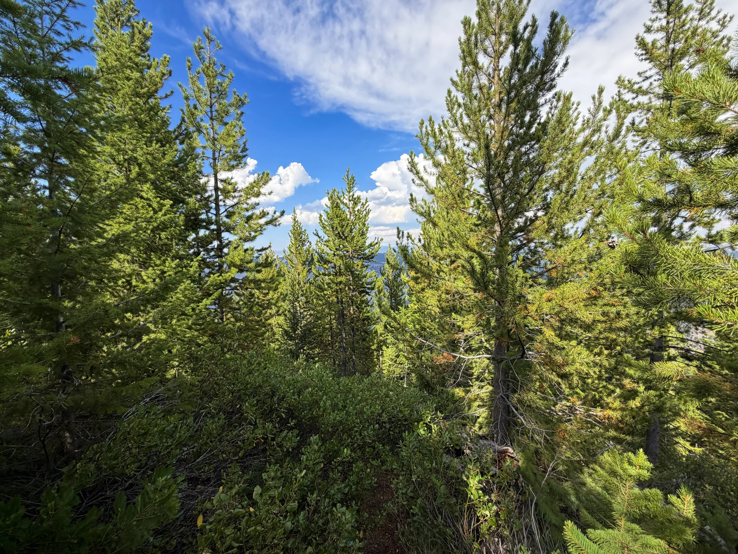 Bunsen Peak Trail Yellowstone National Park Wyoming
