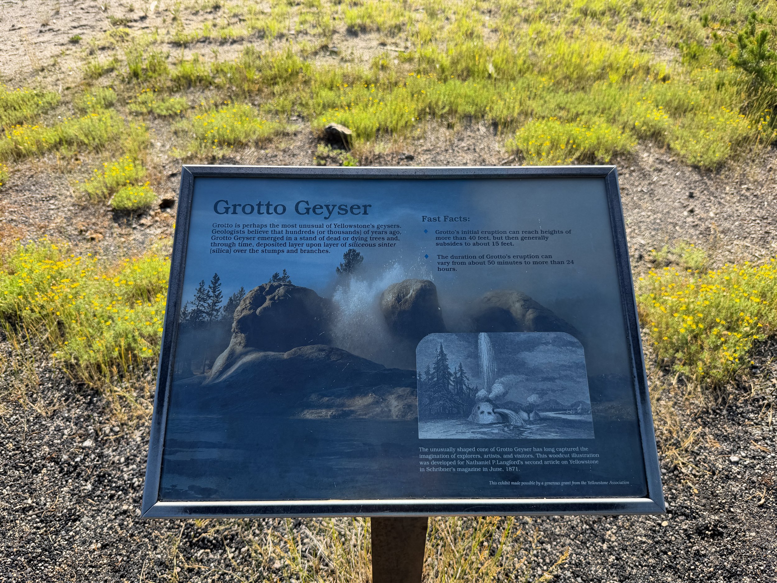 Grotto Geyser Yellowstone National Park Wyoming