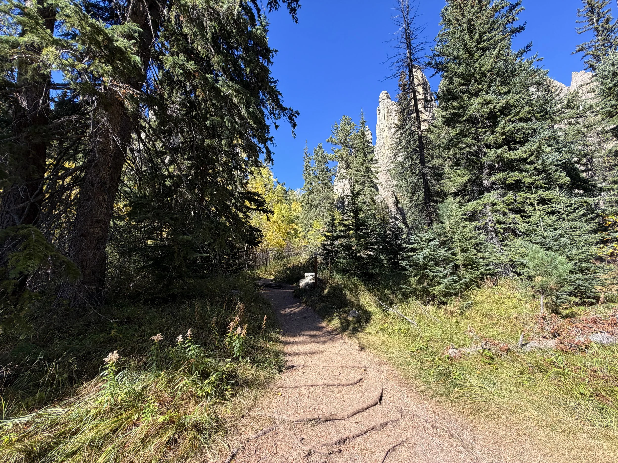 Cathedral Spires Hike Custer State Park Black Hills South Dakota