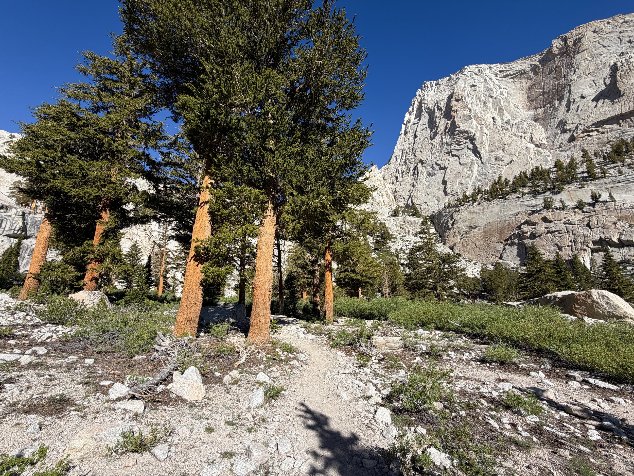 Mt. Whitney Trail California