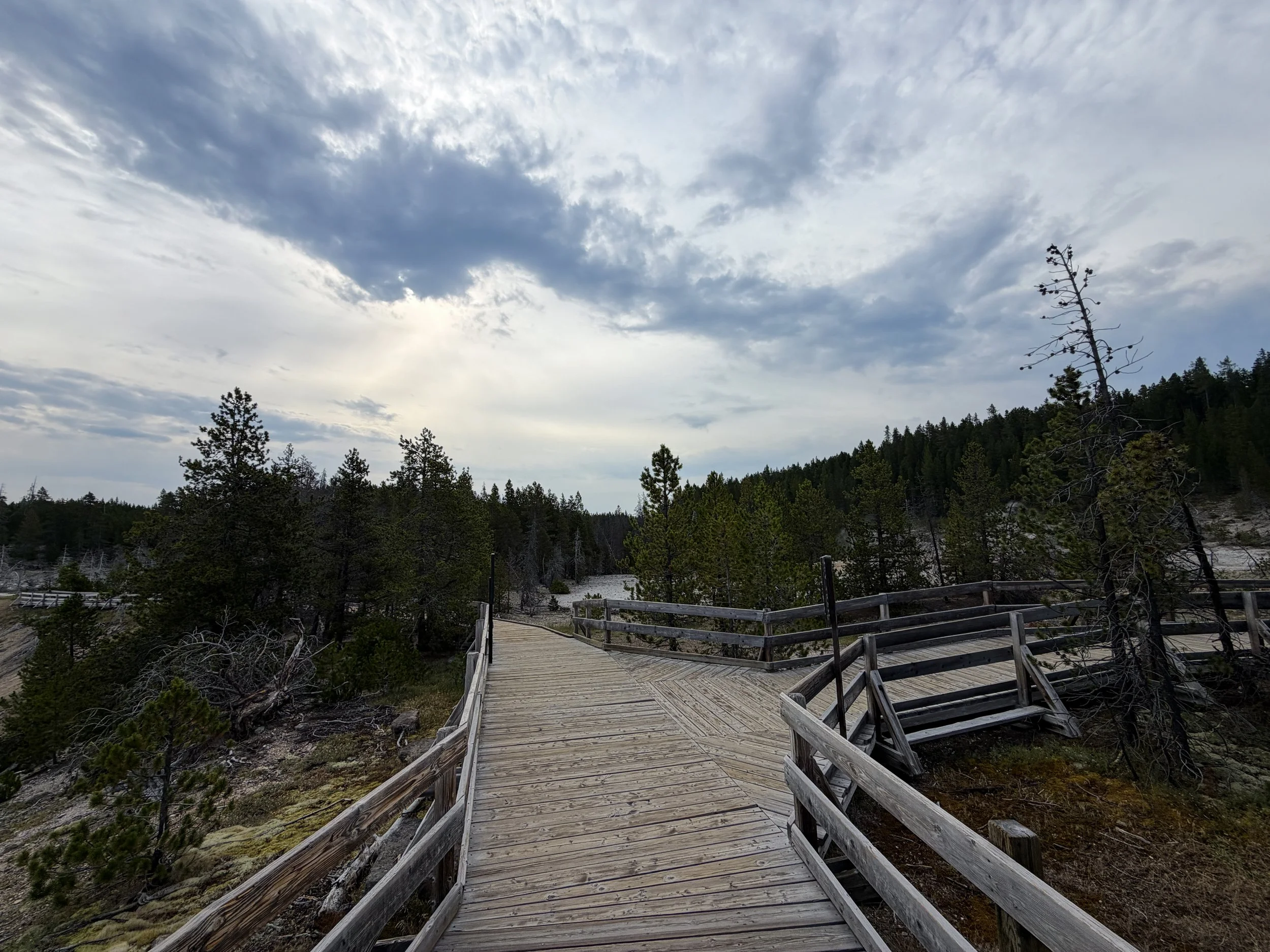 Porcelain Basin Norris Geyser Basin Trail Yellowstone National Park Wyoming