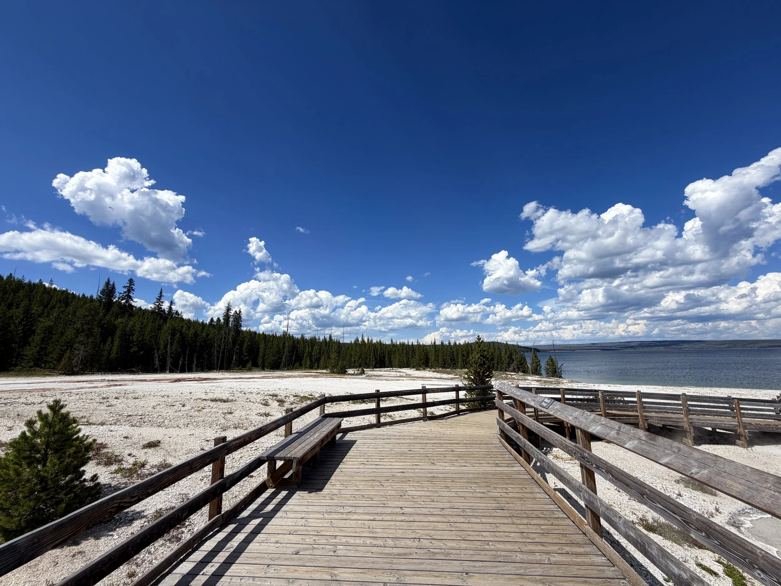 West Thumb Geyser Basin Trail Yellowstone National Park Wyoming