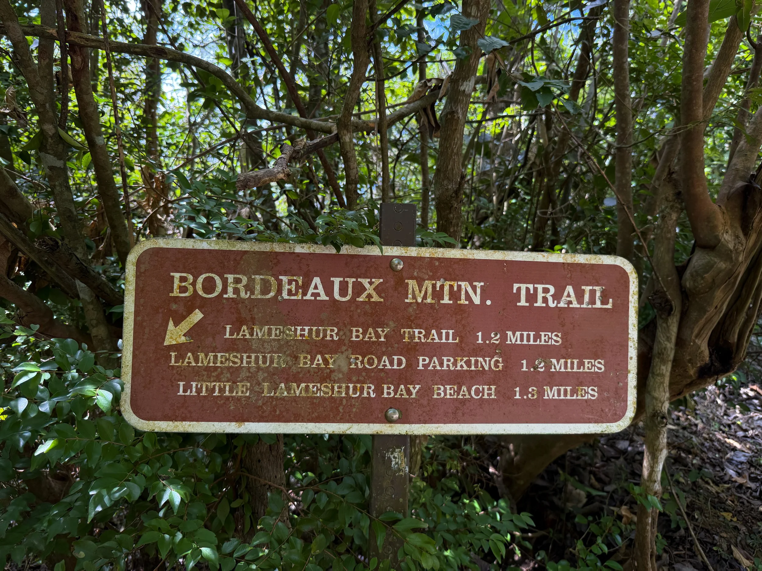 Upper Bordeaux Mountain Trailhead Virgin Islands National Park