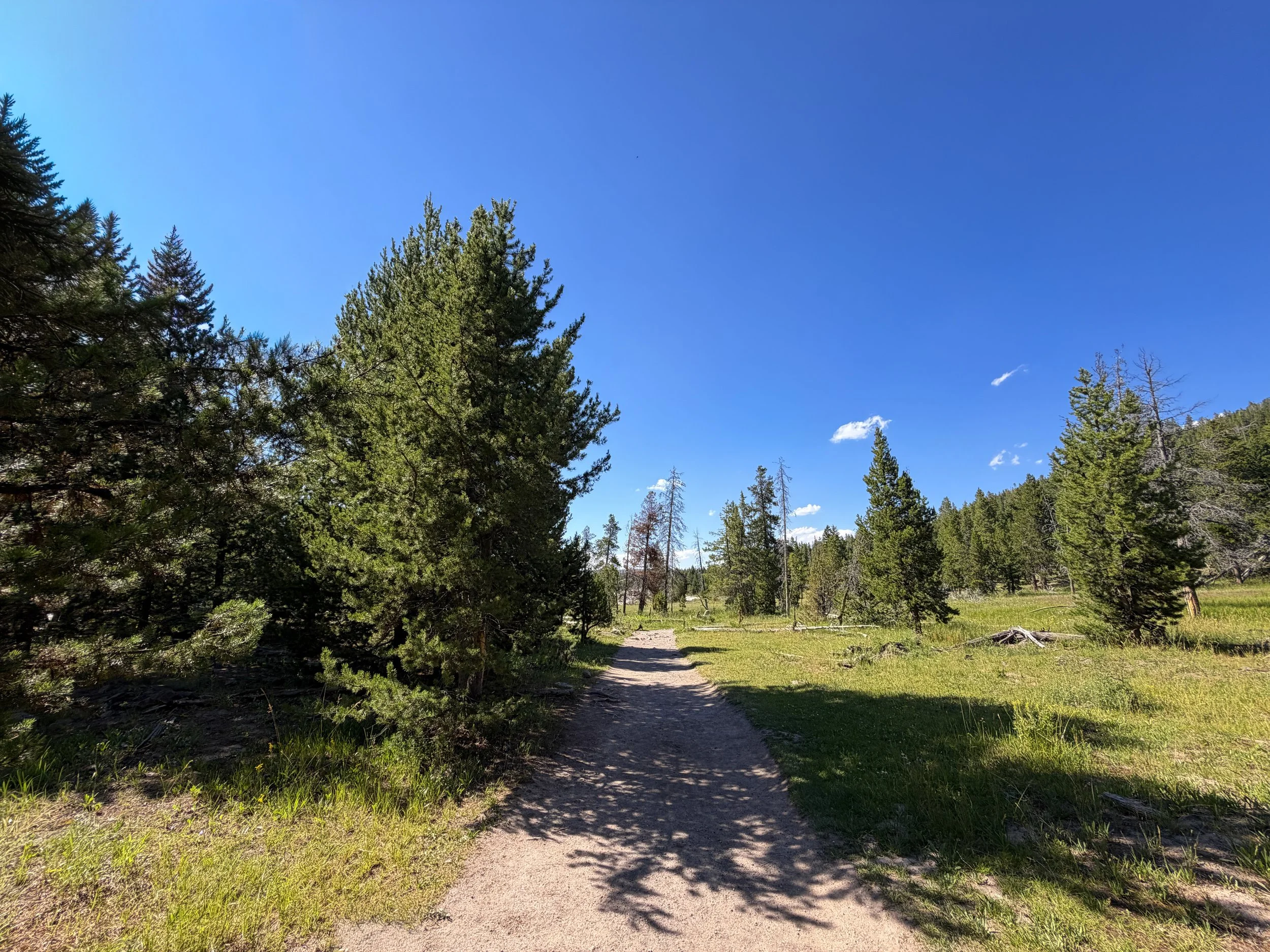 Observation Point Trail Yellowstone National Park Wyoming