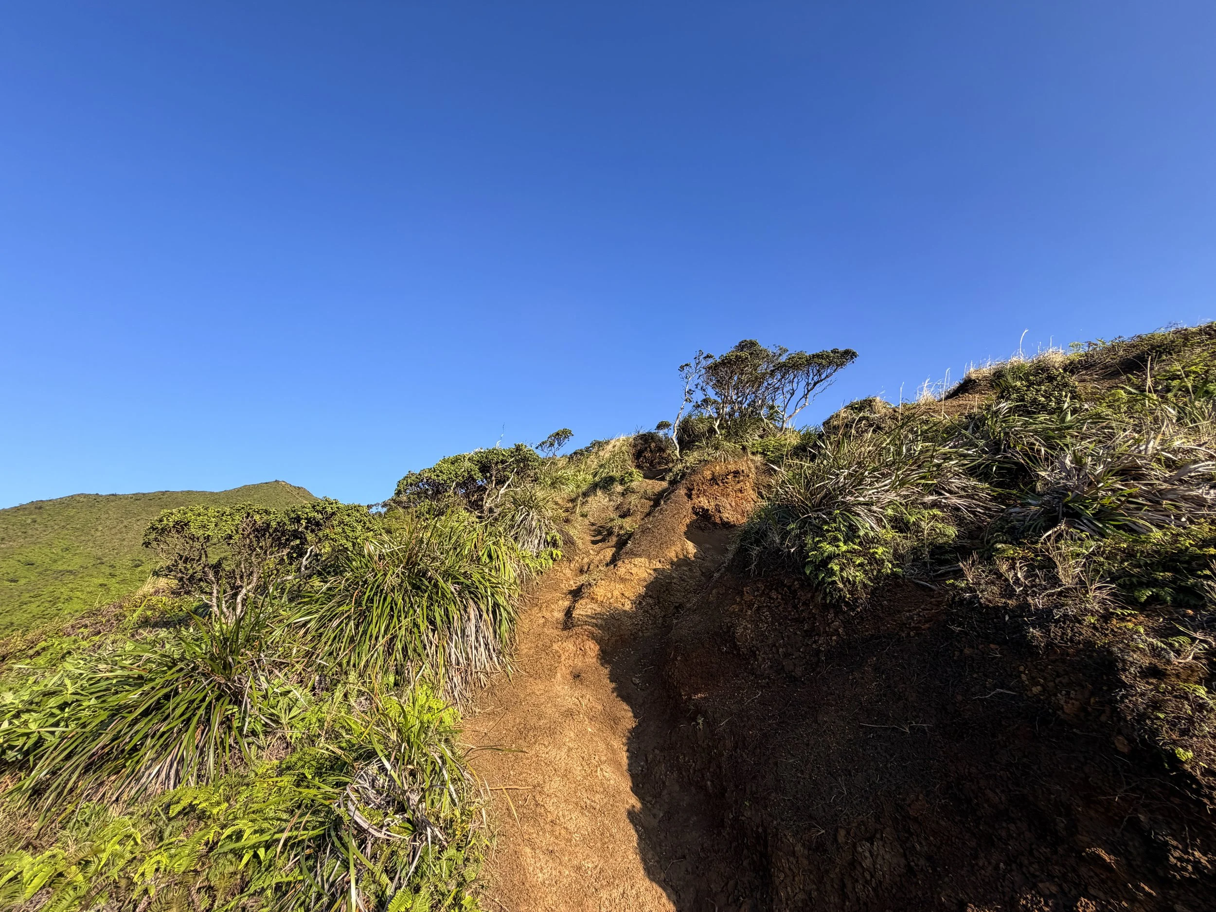 Moanalua Middle Ridge Trail to Stairway to Heaven Oahu Hawaii