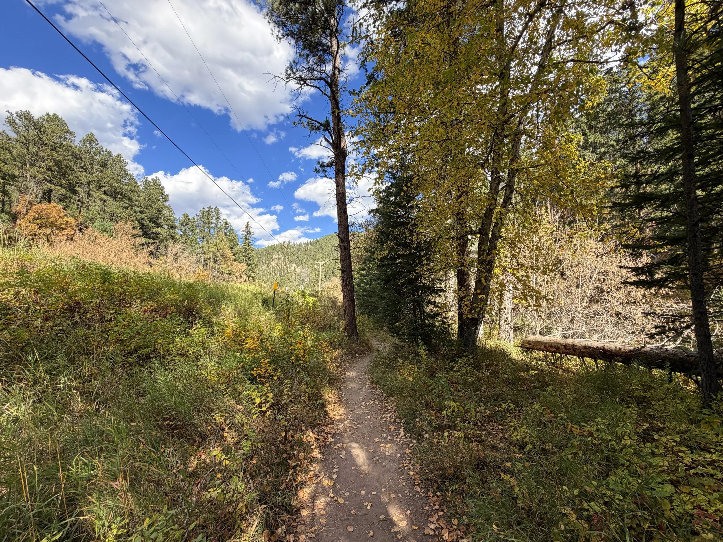 Devils Bathtub Trail Spearfish Canyon Black Hills South Dakota