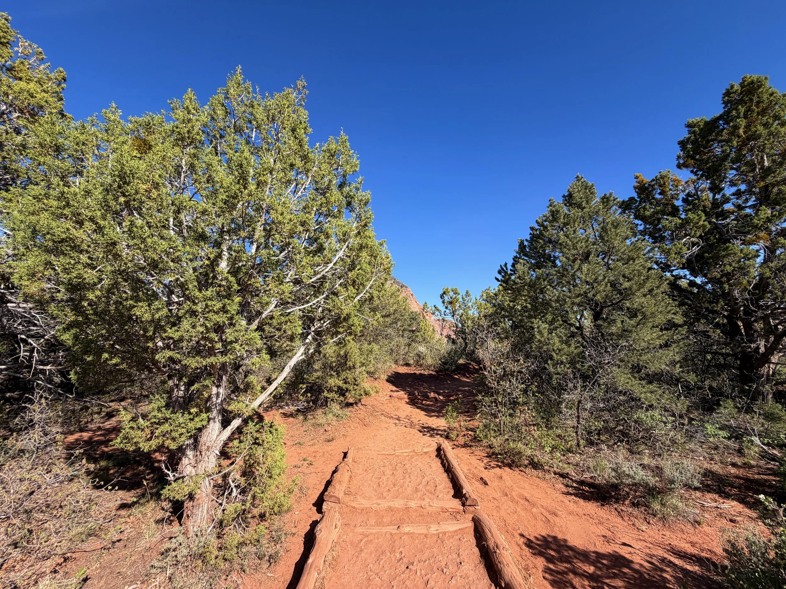 Timber Creek Overlook Trail Zion National Park Utah