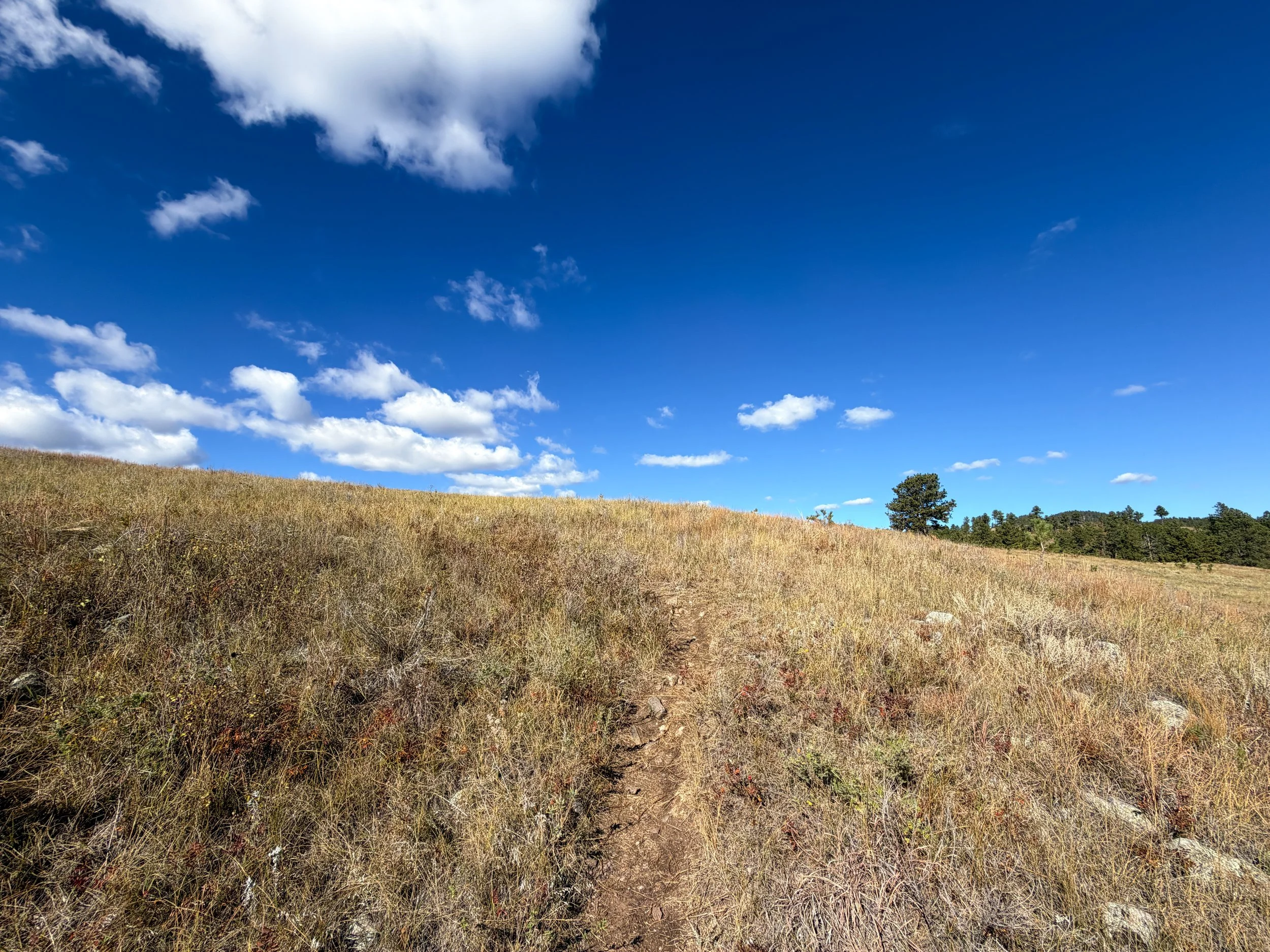 Lookout Point Loop Trail Wind Cave National Park South Dakota