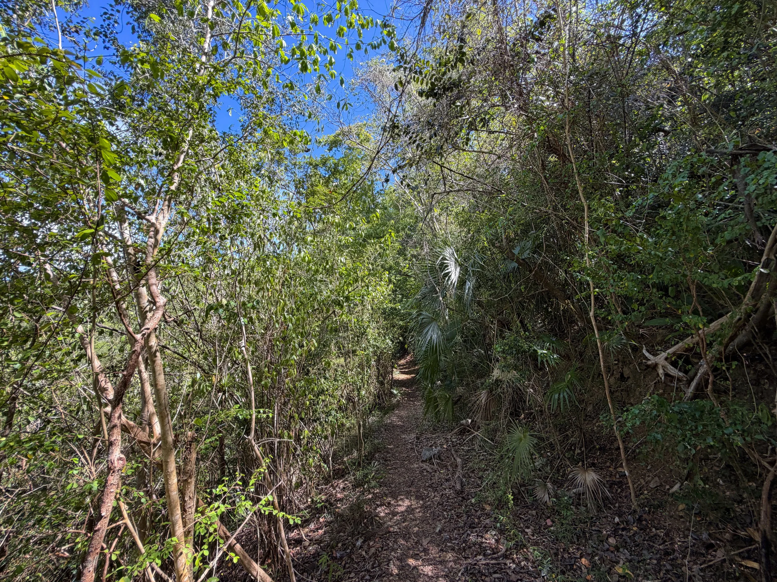 Lameshur Bay Trail to Reef Bay Virgin Islands National Park