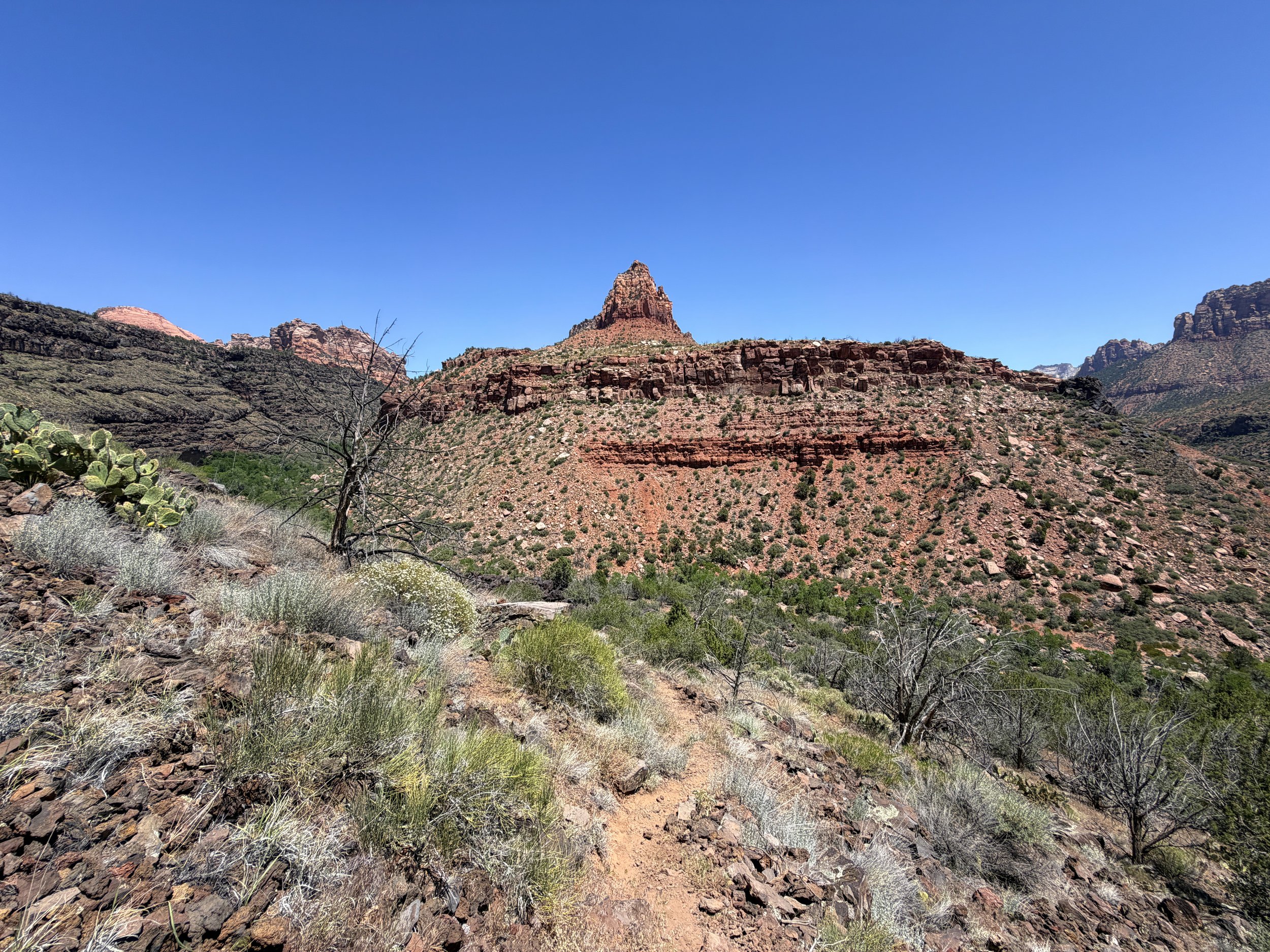 Grapevine Trail to Left Fork Falls Zion National Park Utah