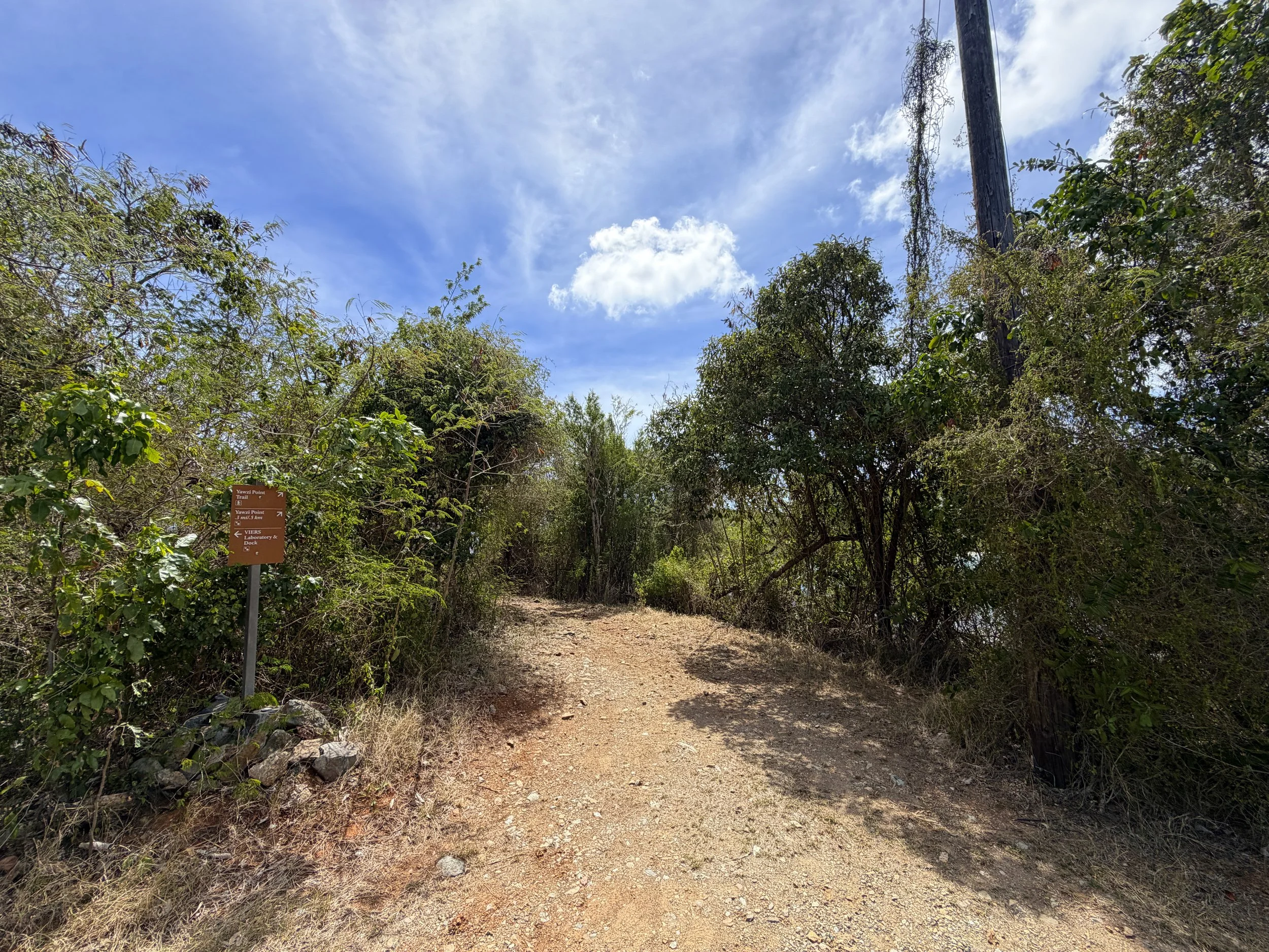 Yawzi Point Trailhead Virgin Islands National Park