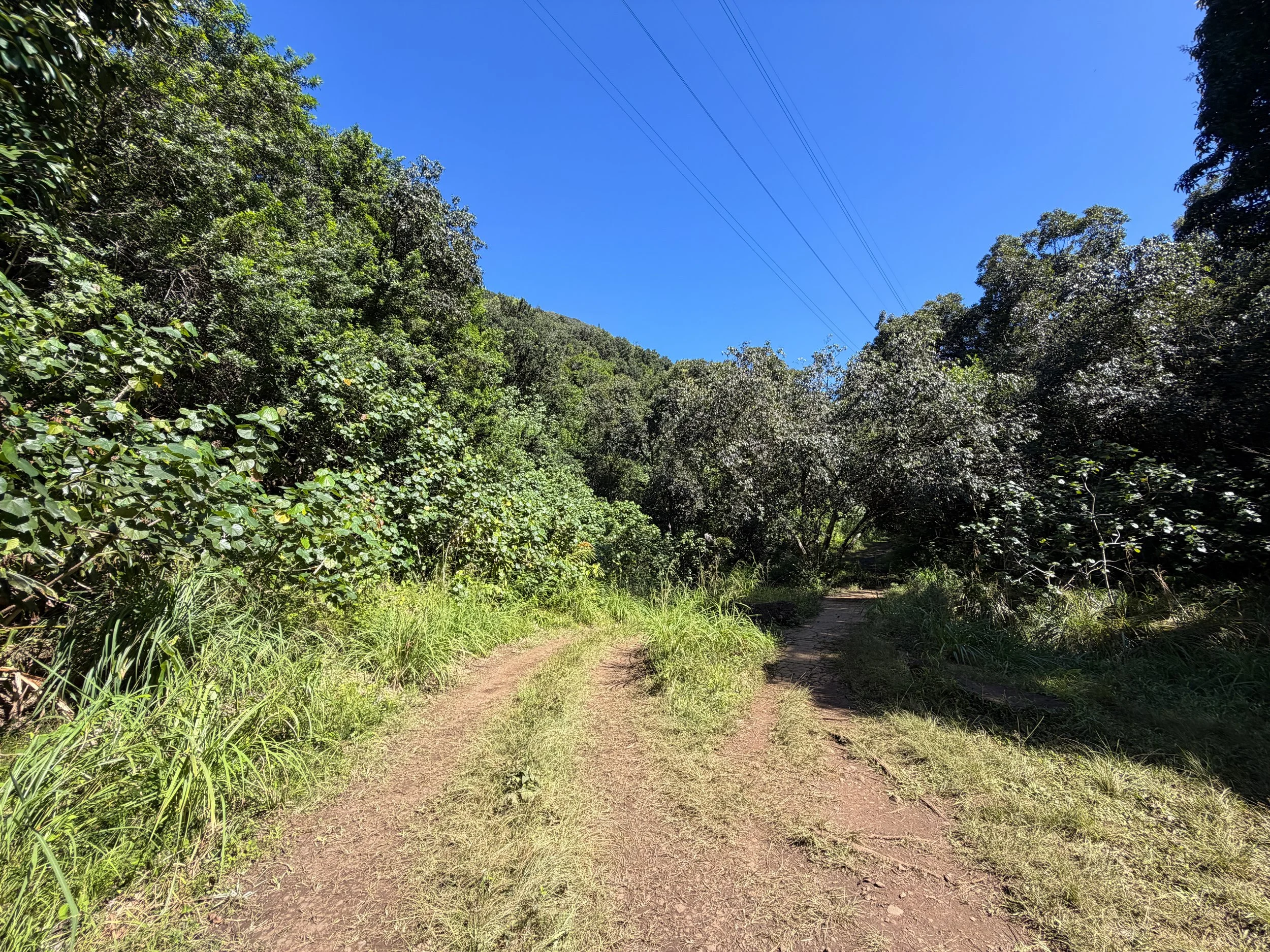 Tripler Ridge Trail via Kamananui Valley Road Oahu Hawaii