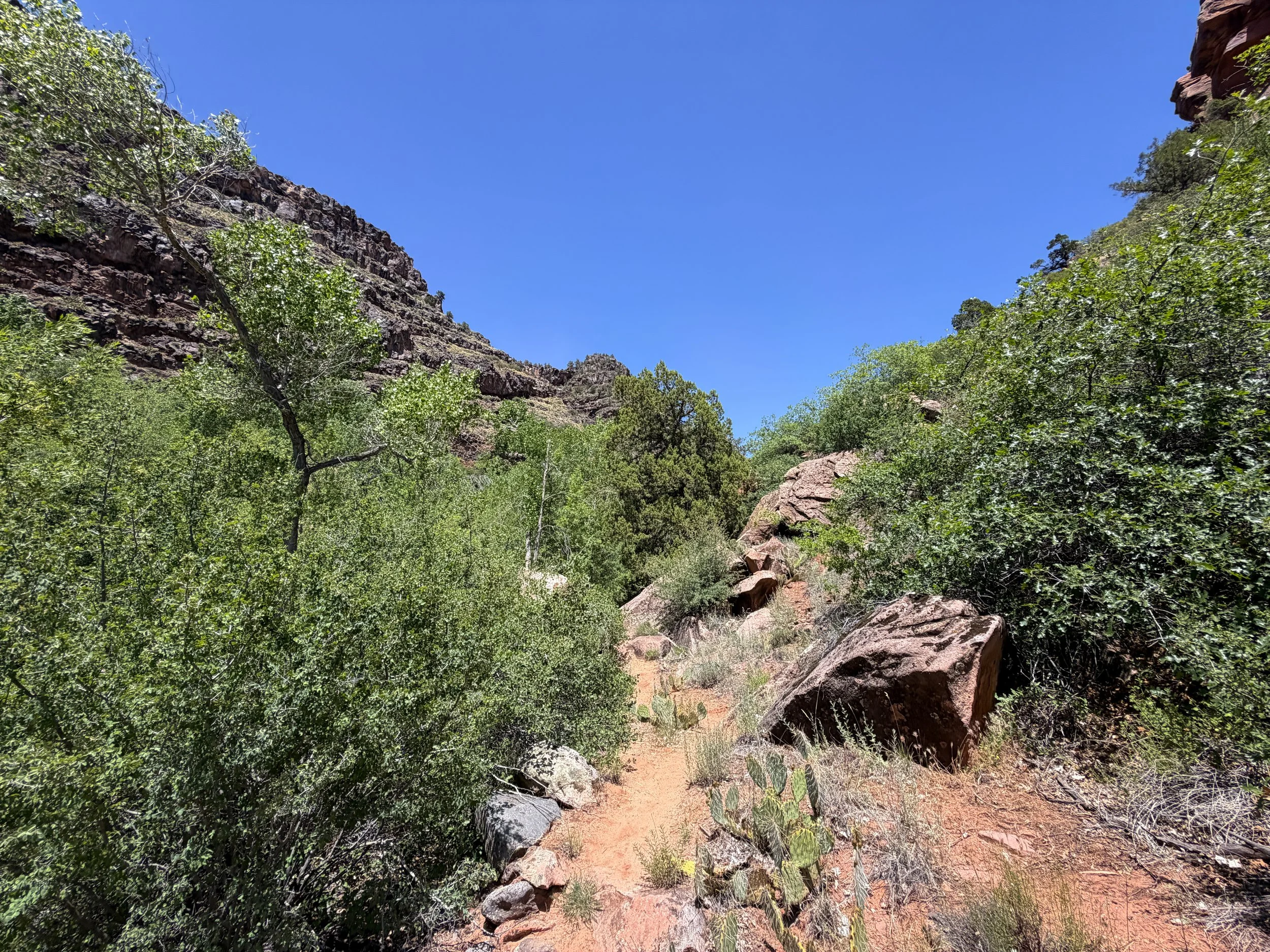 Grapevine Trail to Left Fork Falls Zion National Park Utah