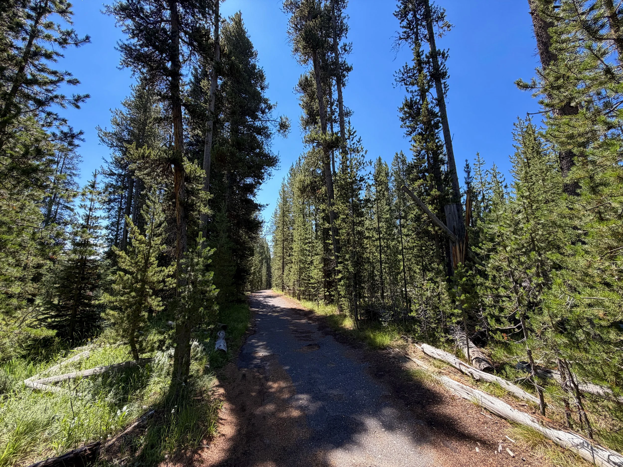 Lone Star Trail Yellowstone National Park Wyoming