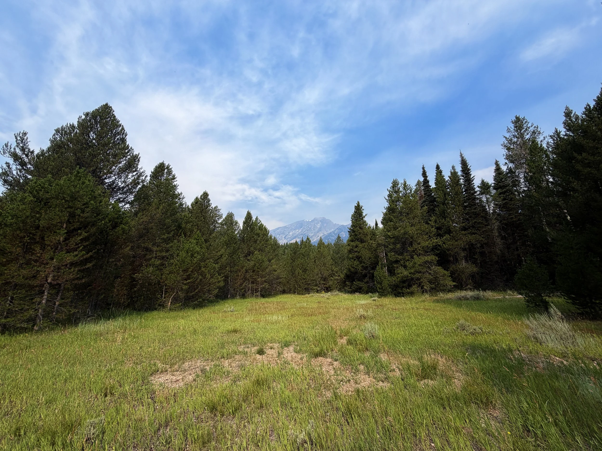 Aspen Ridge Trail Grand Teton National Park Wyoming