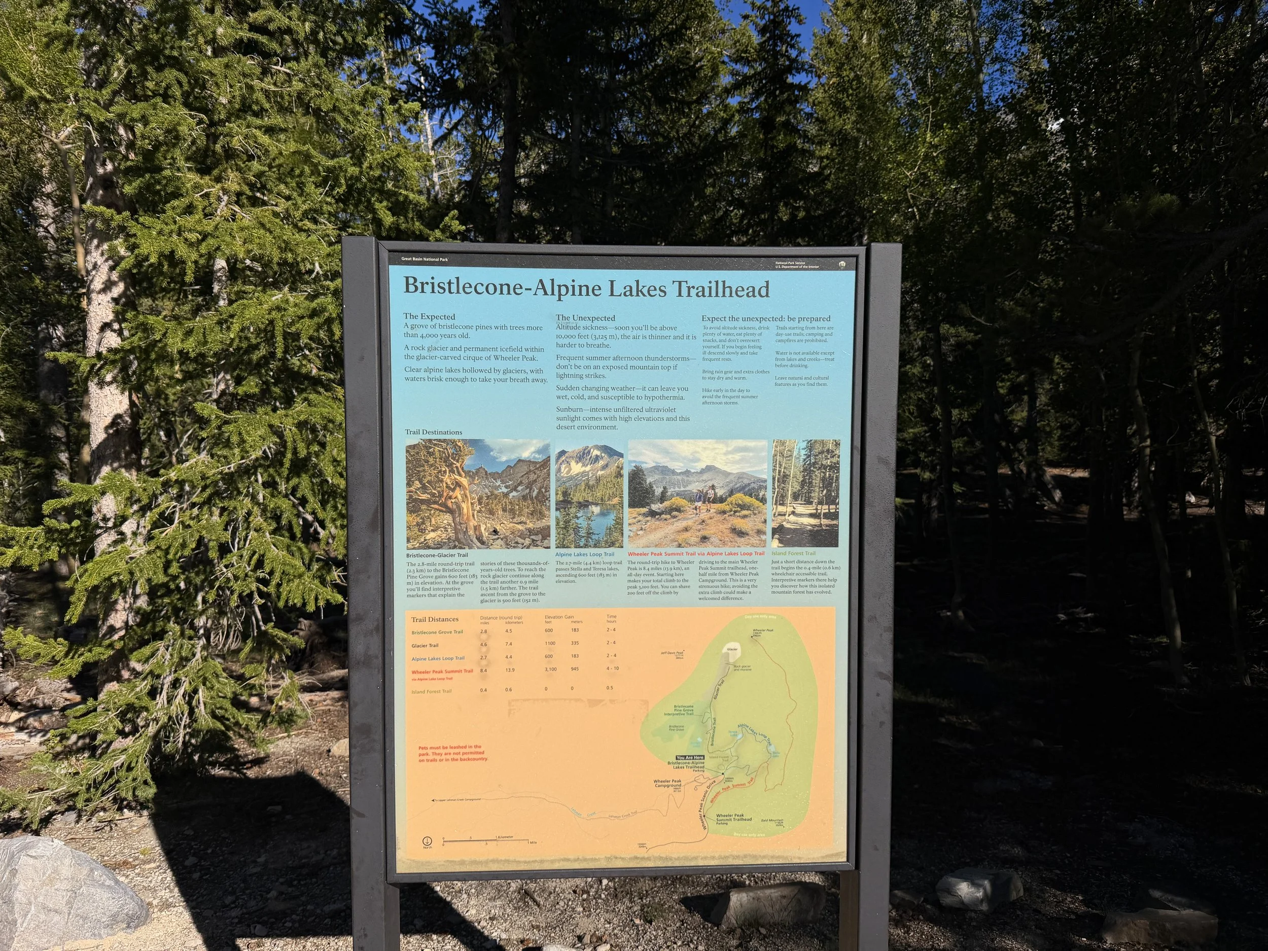 Sky Island Forest Trailhead Great Basin National Park Nevada