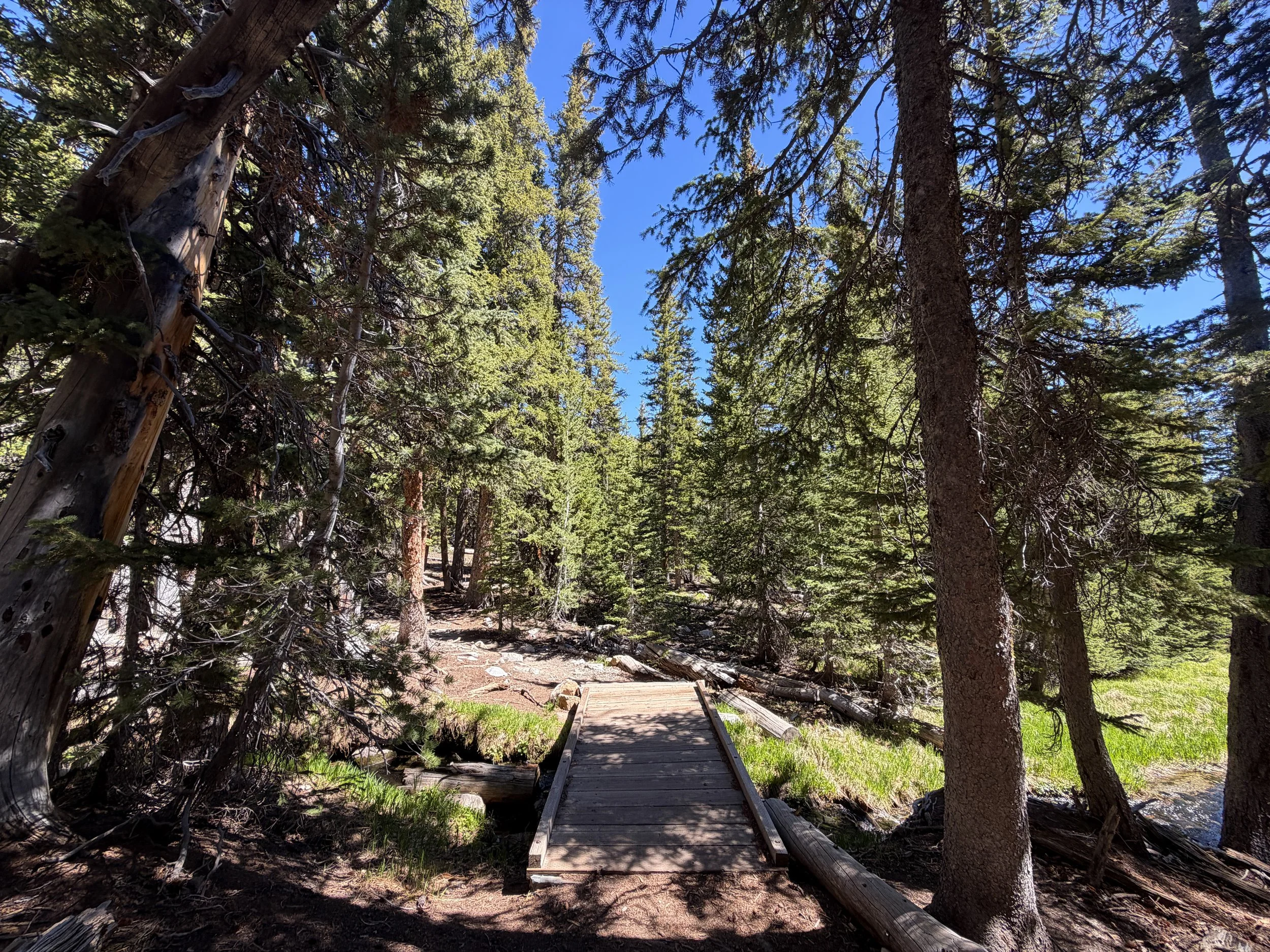 Alpine Lakes Loop Trail Great Basin National Park Nevada